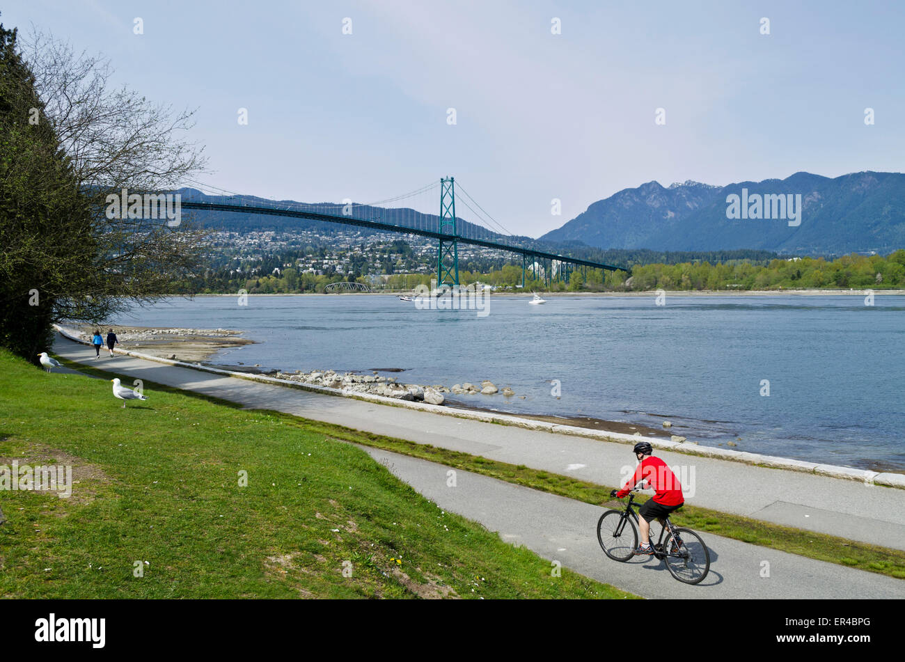 Ciclista e la gente camminare lungo il Parco Stanley seawall in Vancouver. Lion's Gate Bridge e North Shore Mountains. Foto Stock