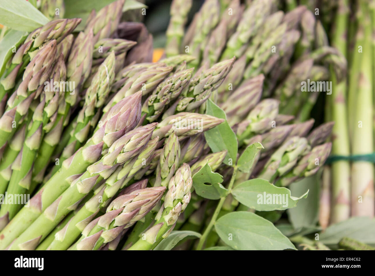 Fresche, asparagi verdi Foto Stock
