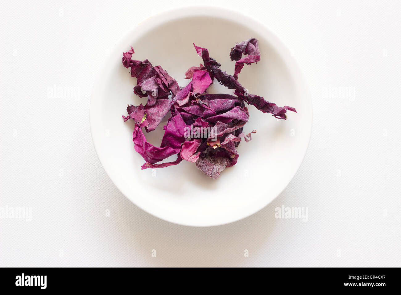 Alghe secche Foto Stock