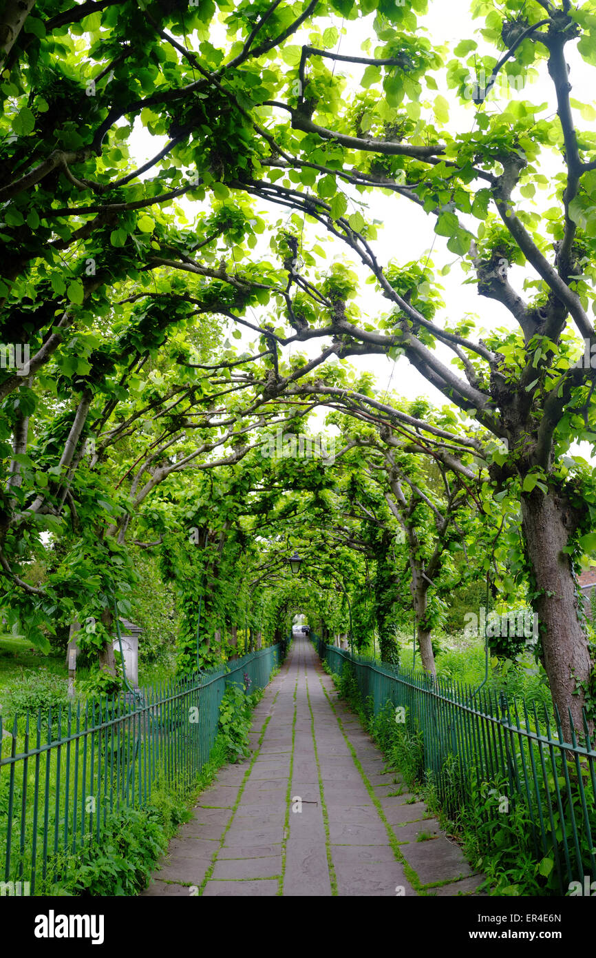 Un arco di fogliame verde si estende per la lunghezza di un sentiero nella zona di Clifton Bristol. Foto Stock