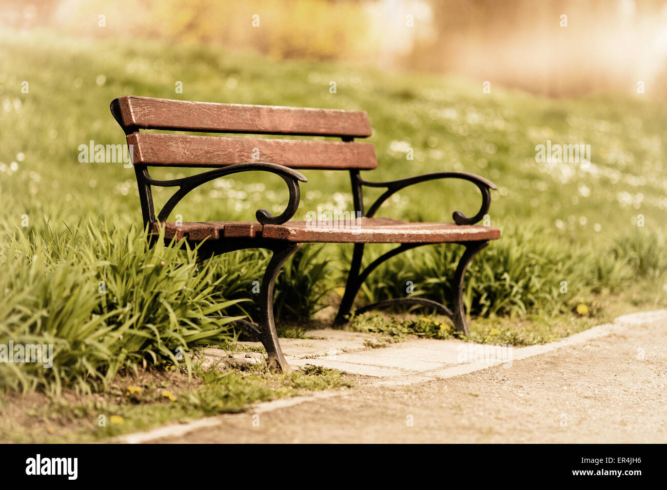 Una panchina nel parco in una giornata di sole Foto Stock