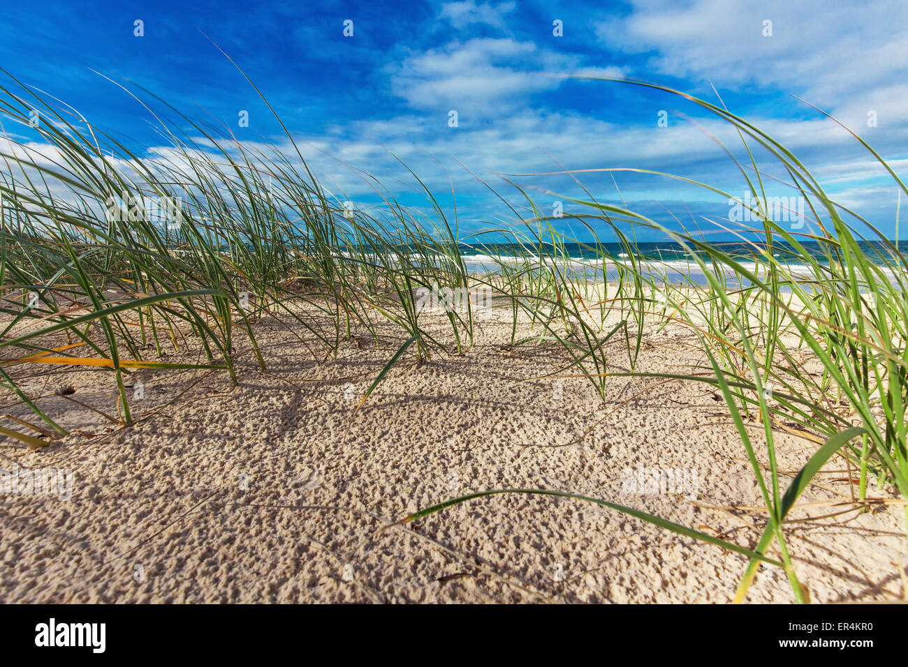 Sunny beach con dune di sabbia, erba e cielo blu, il Sunshine Coast, Australia Foto Stock