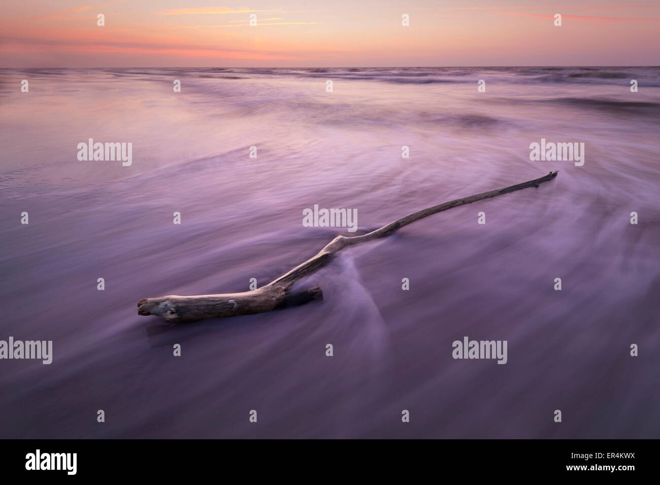 Il ramo sulla spiaggia con onde sfocatura del movimento Foto Stock