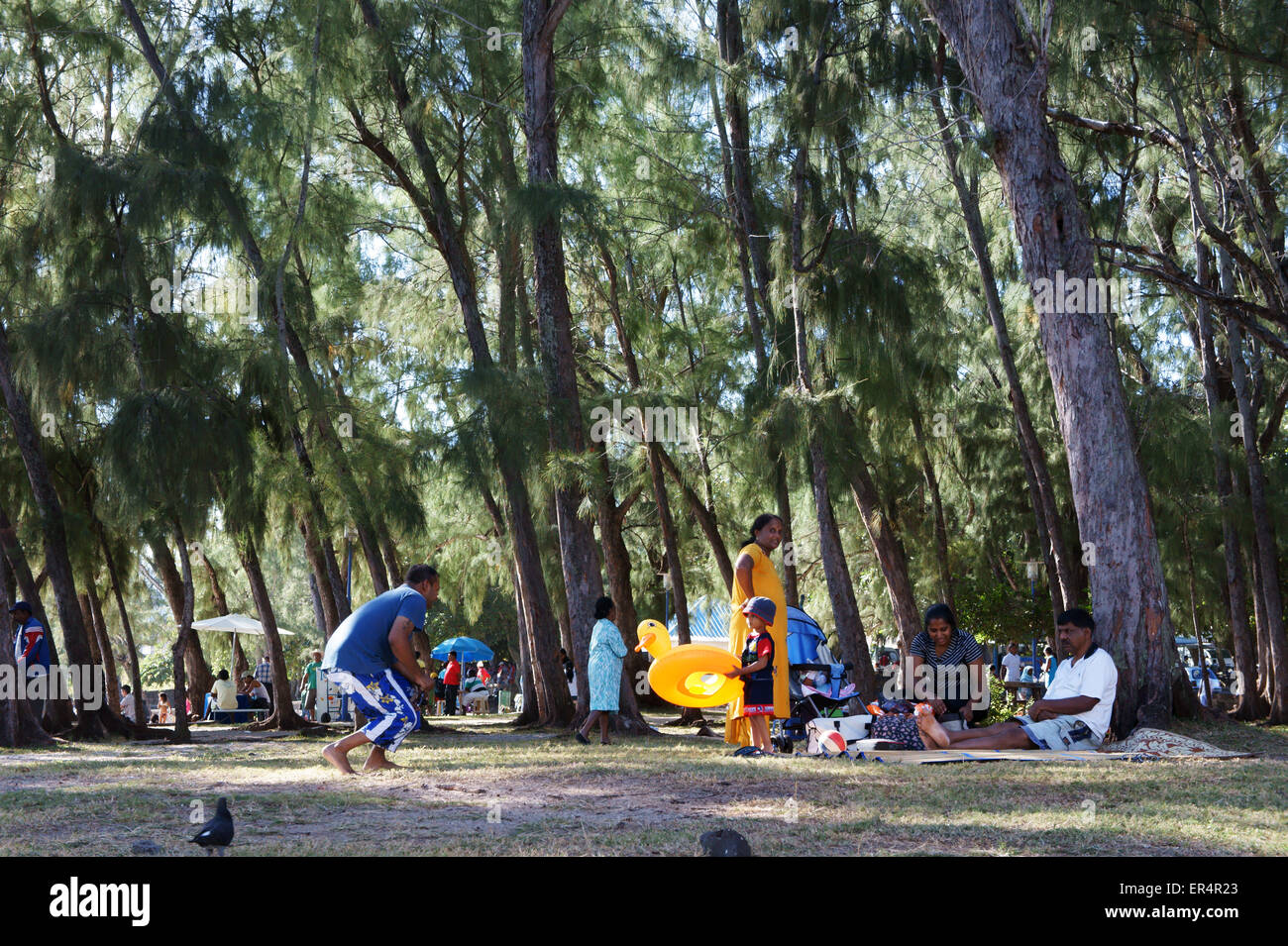 Famiglie locali pickniking nel parco presso la Blue Lagoon Bay, Isola Maurizio Foto Stock