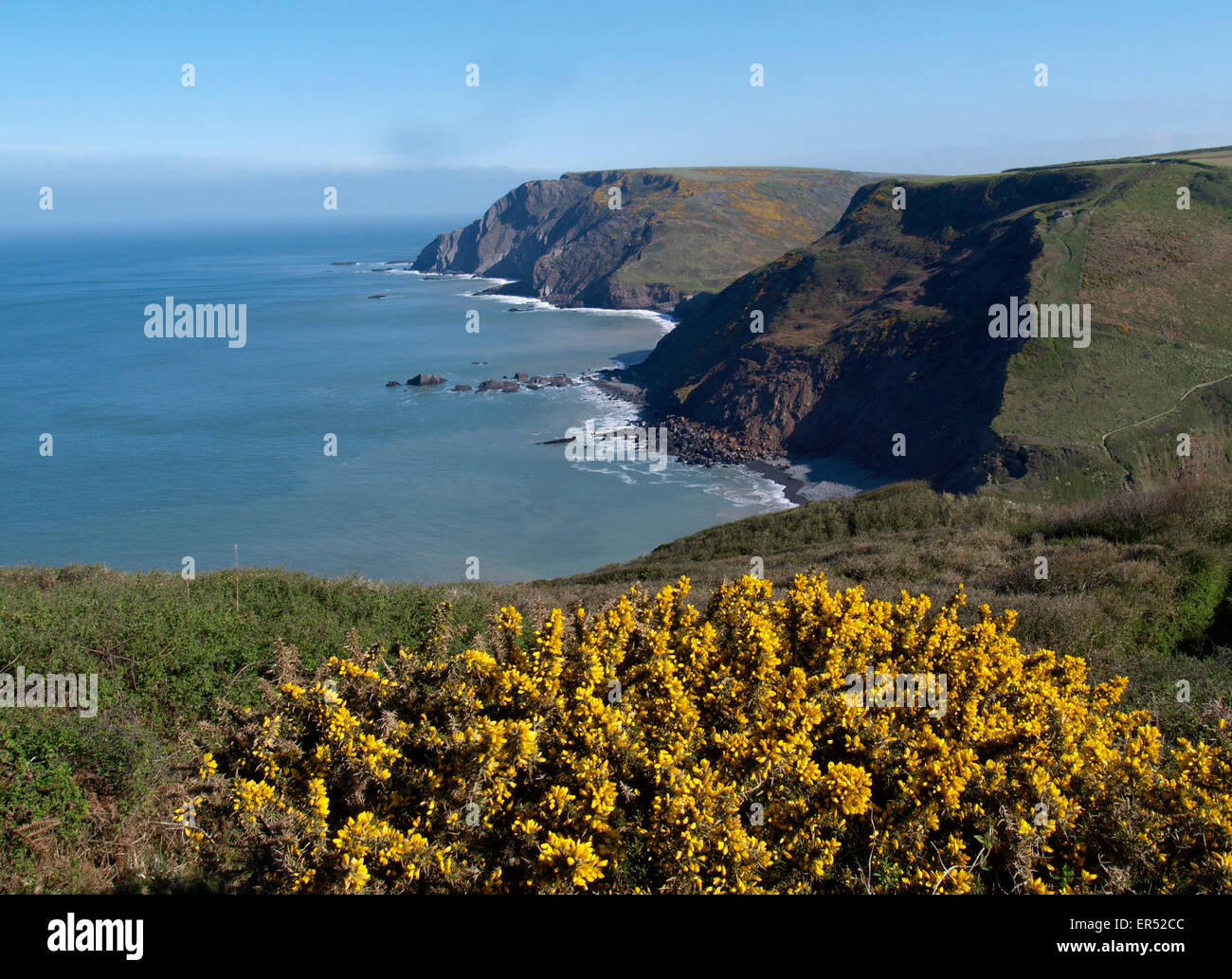 La costa al confine tra North Devon e North Cornwall a Marsland, Cornwall, Regno Unito Foto Stock