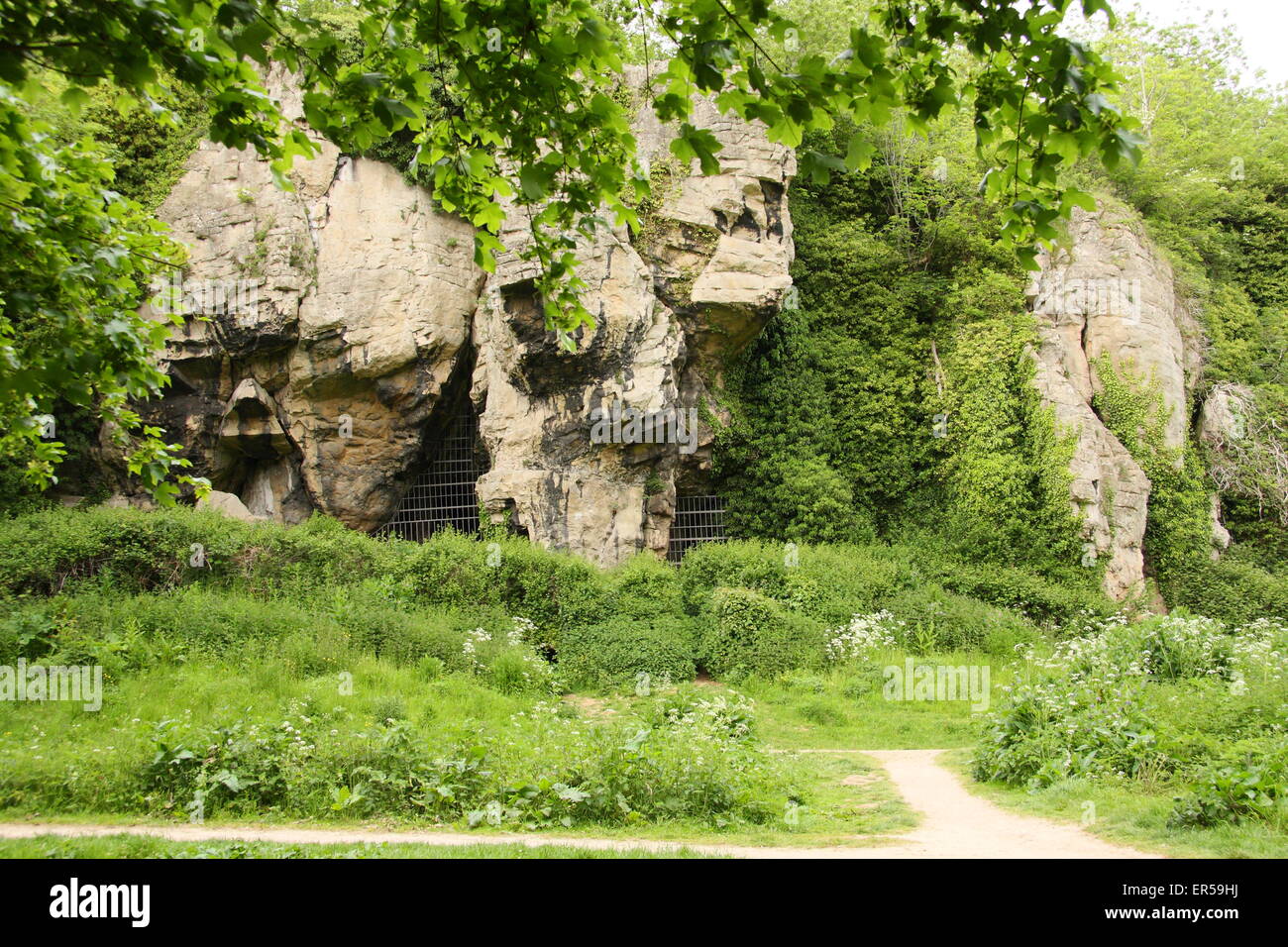 Un promontorio roccioso a nido d'ape con le grotte a Creswell Crags, un limestone gorge sul confine del Derbyshire & Nottinghamshire, Regno Unito Foto Stock