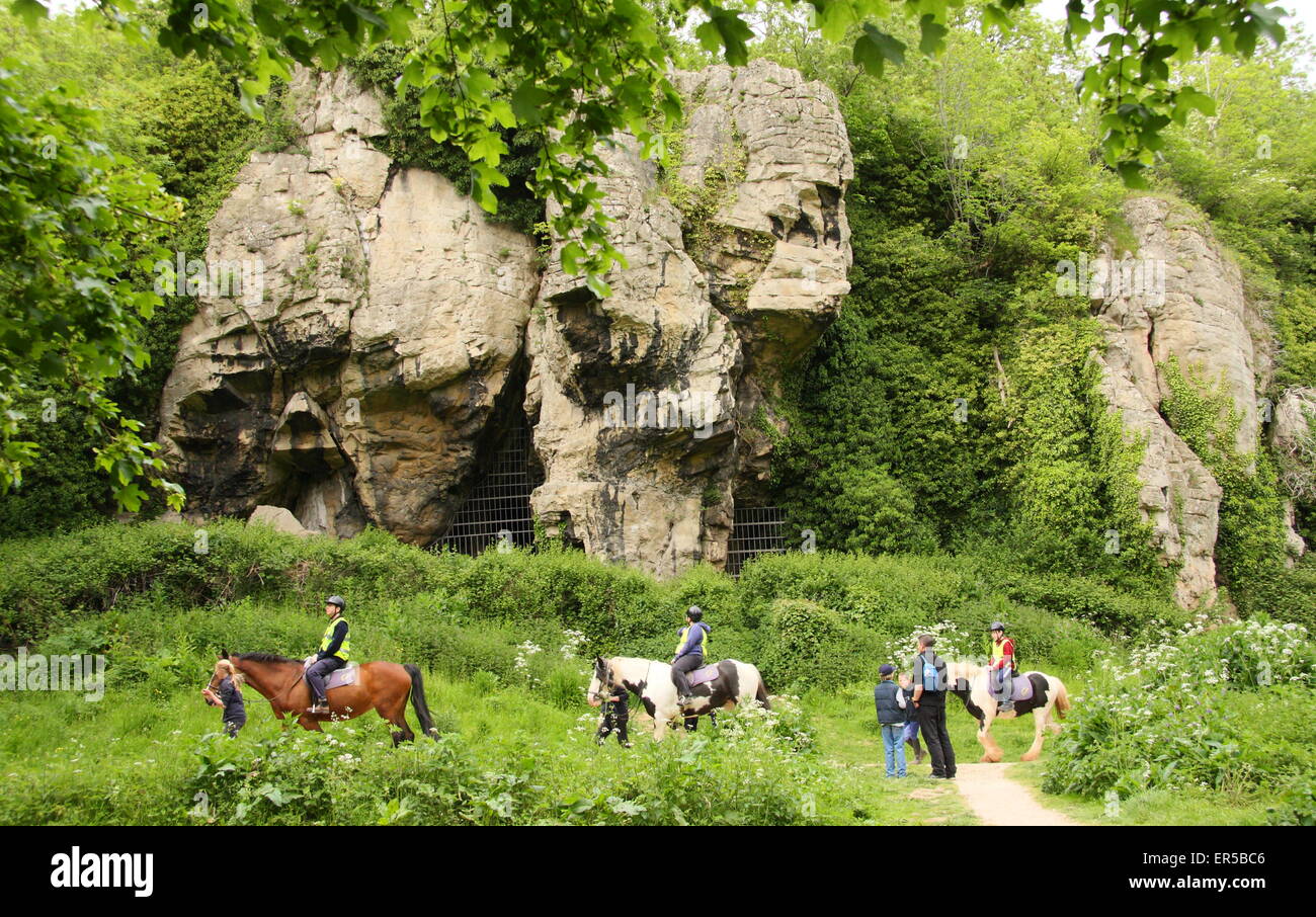Piloti del cavallino passano da grotte a Creswell Crags, un limestone gorge sul confine del Derbyshire e Nottinghamshire, Gran Bretagna, Regno Unito Foto Stock