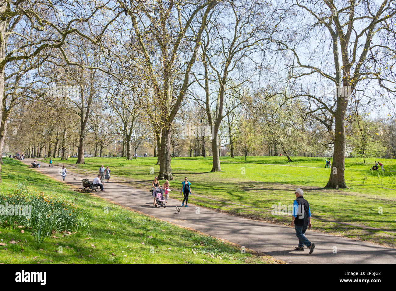 Percorso attraverso il parco verde, City of Westminster, Londra, Inghilterra, Regno Unito Foto Stock