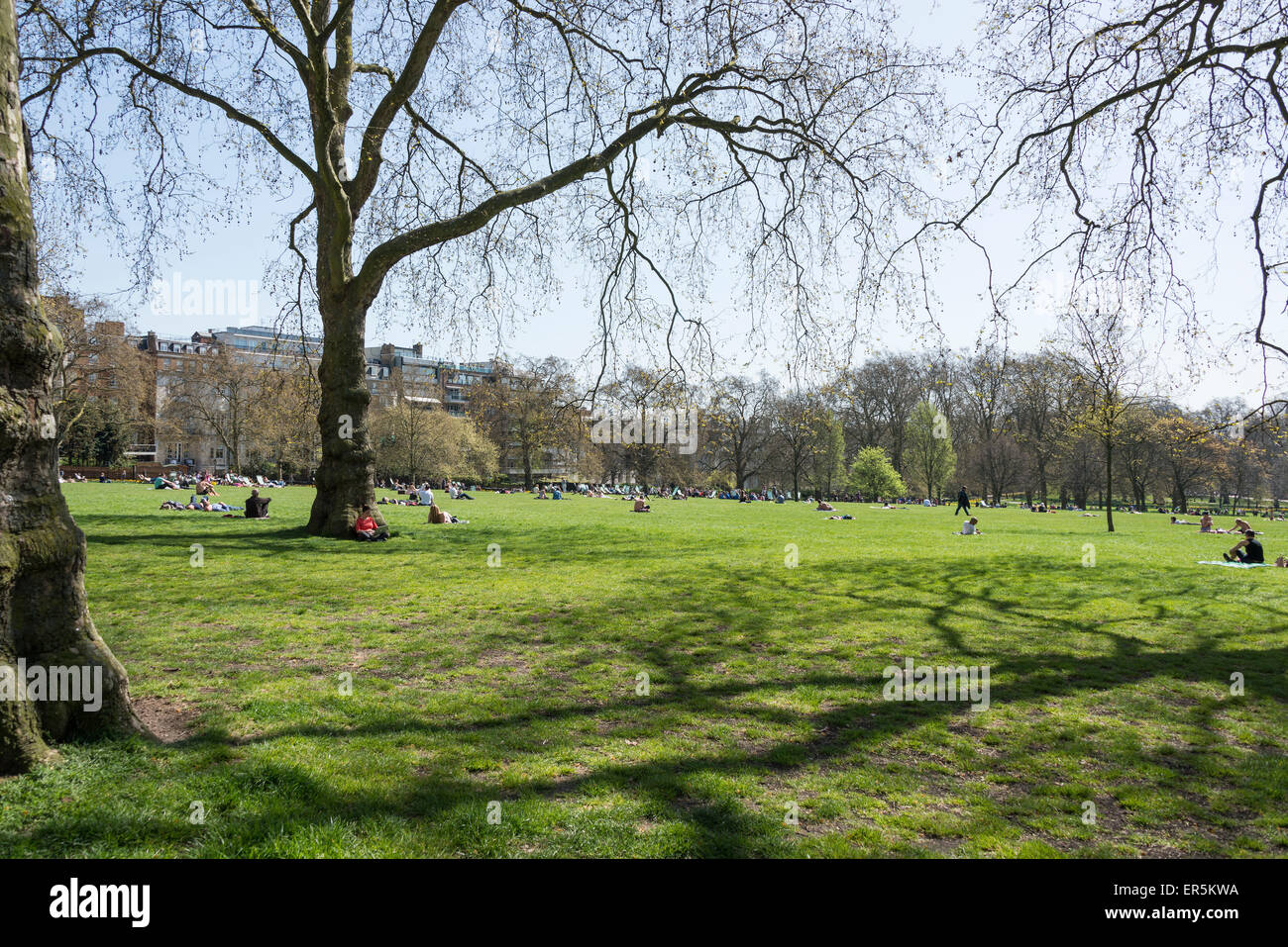 Il parco verde in primavera, City of Westminster, Londra, Inghilterra, Regno Unito Foto Stock