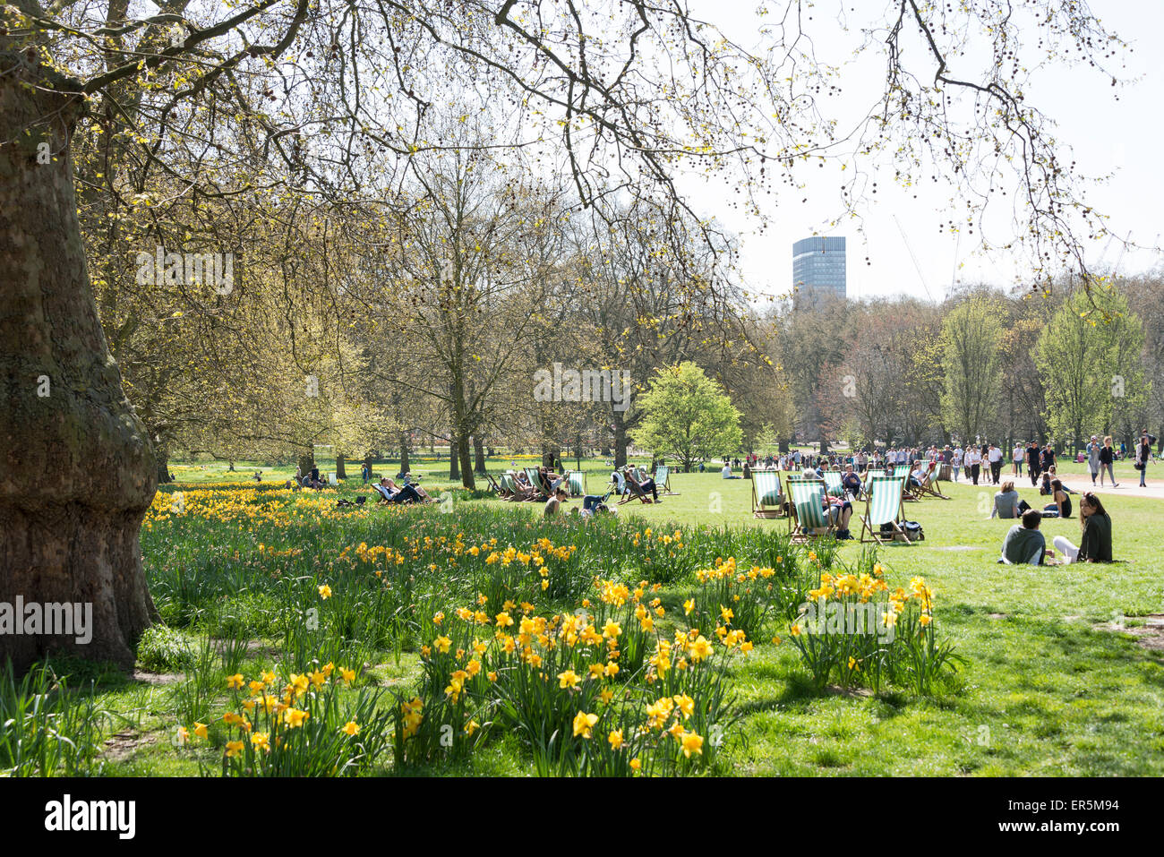 The Green Park in primavera, City of Westminster, Greater London, Inghilterra, Regno Unito Foto Stock