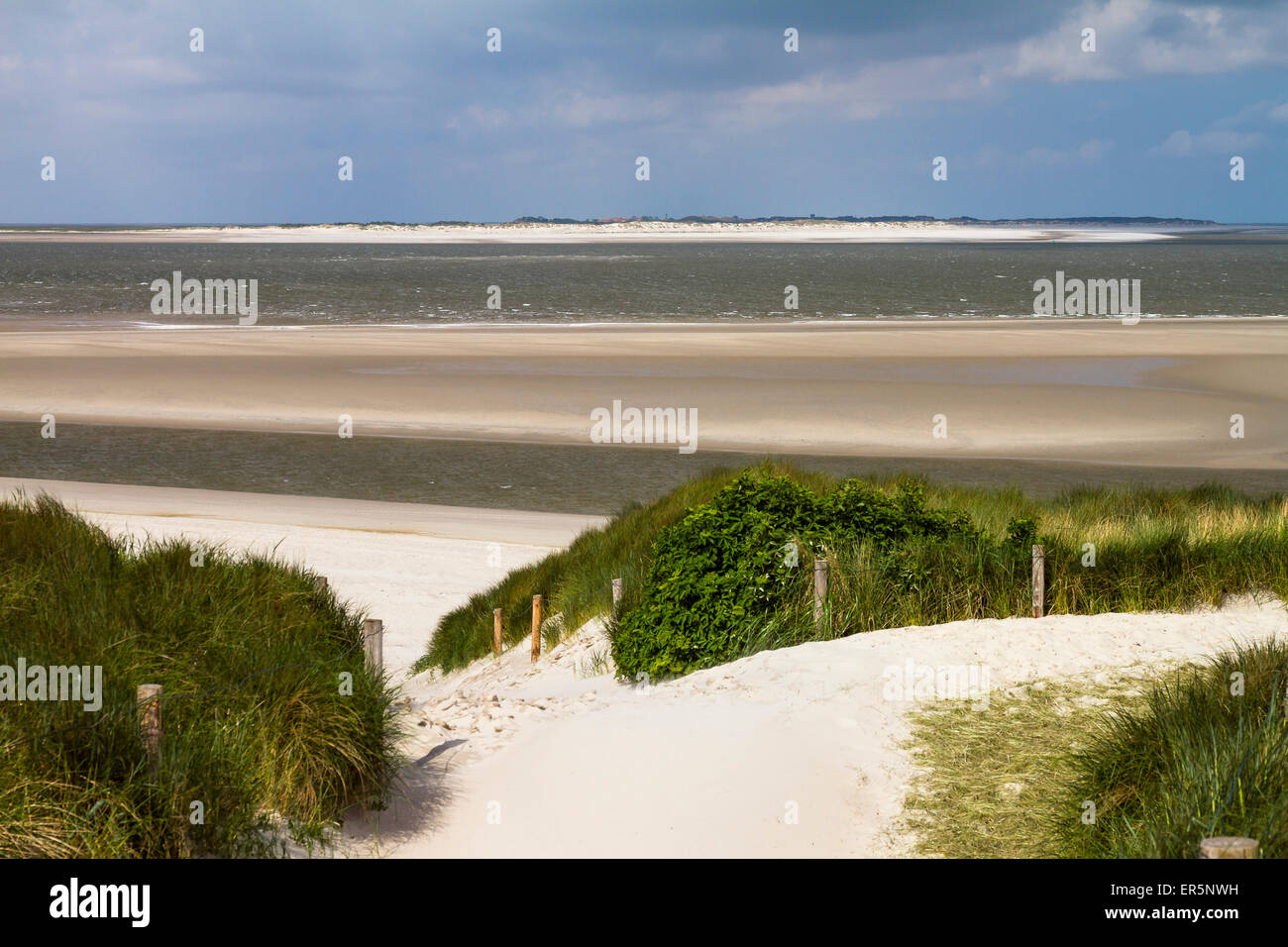Dune e spiaggia, vista Baltrum Island, isola di Langeoog, parco nazionale, sito Patrimonio Mondiale dell'Unesco, il Mare del Nord, Est Frisone ISL Foto Stock