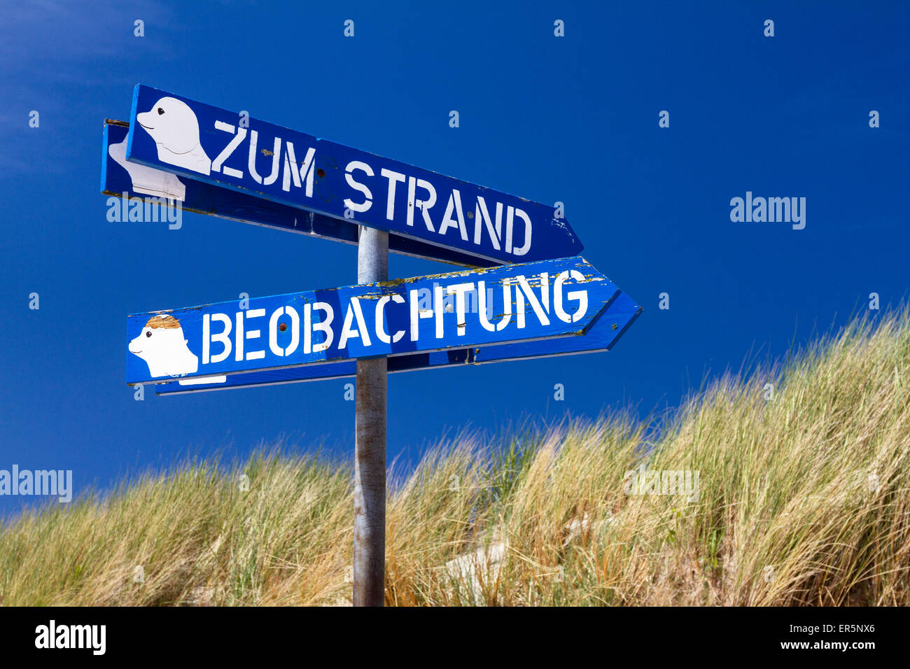Indicazioni per la spiaggia e la guarnizione punto di osservazione, Osterhook Langeoog, isola, mare del Nord est delle Isole Frisone, Frisia orientale, bassa Foto Stock
