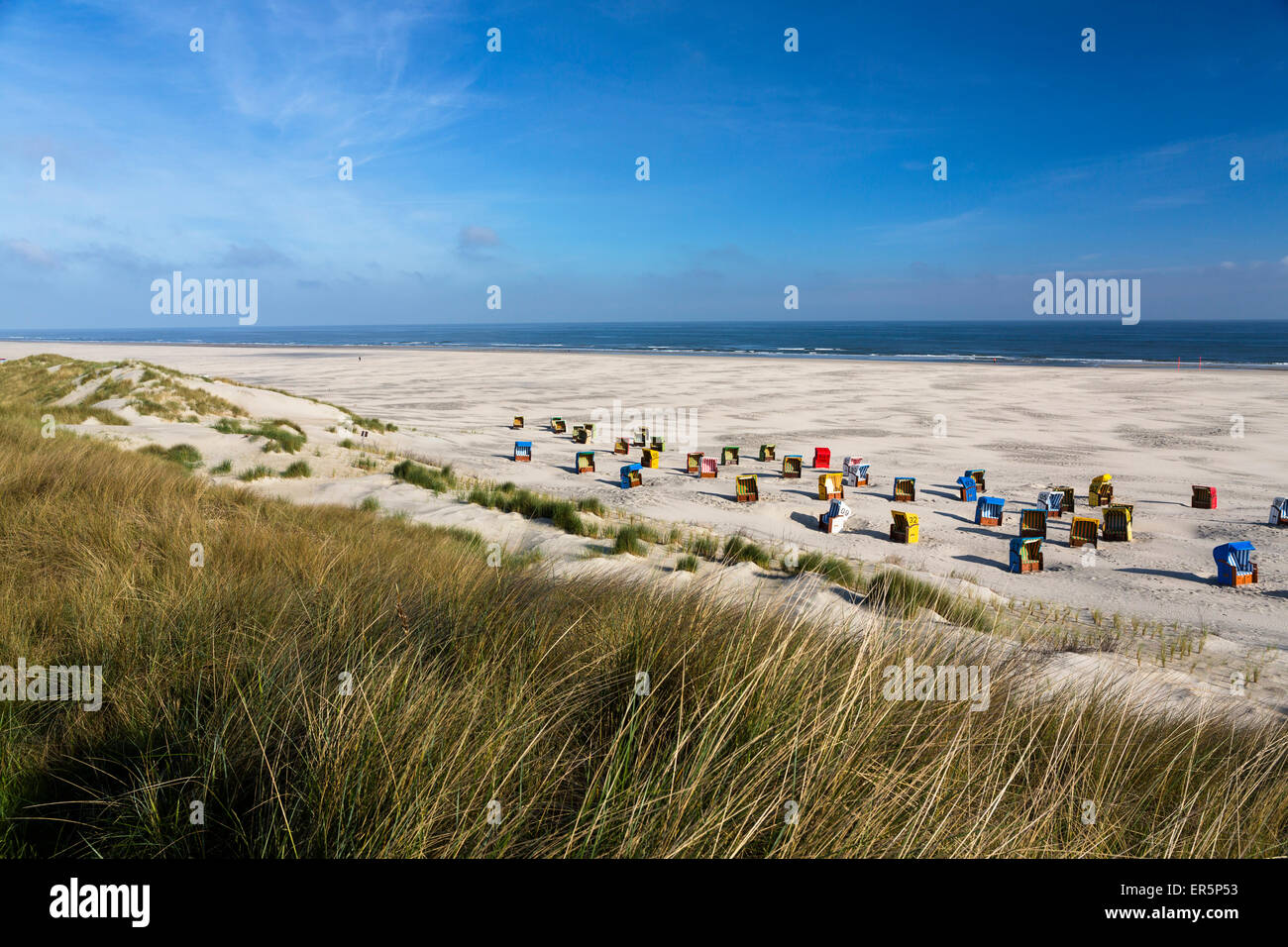 Sedie a sdraio in spiaggia, Juist isola, mare del Nord est delle Isole Frisone, Frisia orientale, Bassa Sassonia, Germania, Europa Foto Stock