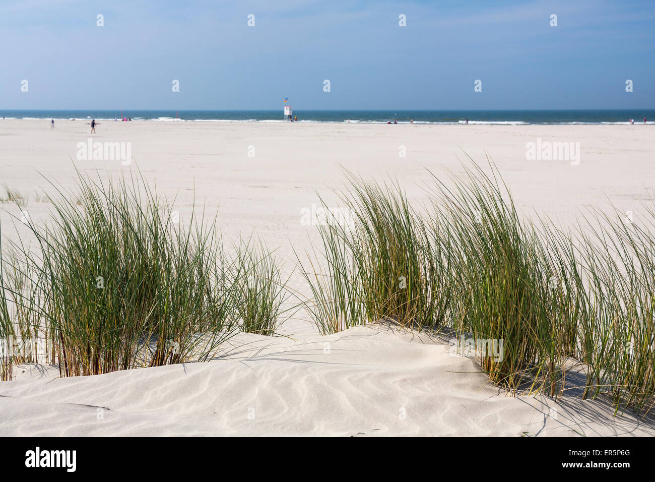 Dune in spiaggia, Juist isola, mare del Nord est delle Isole Frisone, Frisia orientale, Bassa Sassonia, Germania, Europa Foto Stock