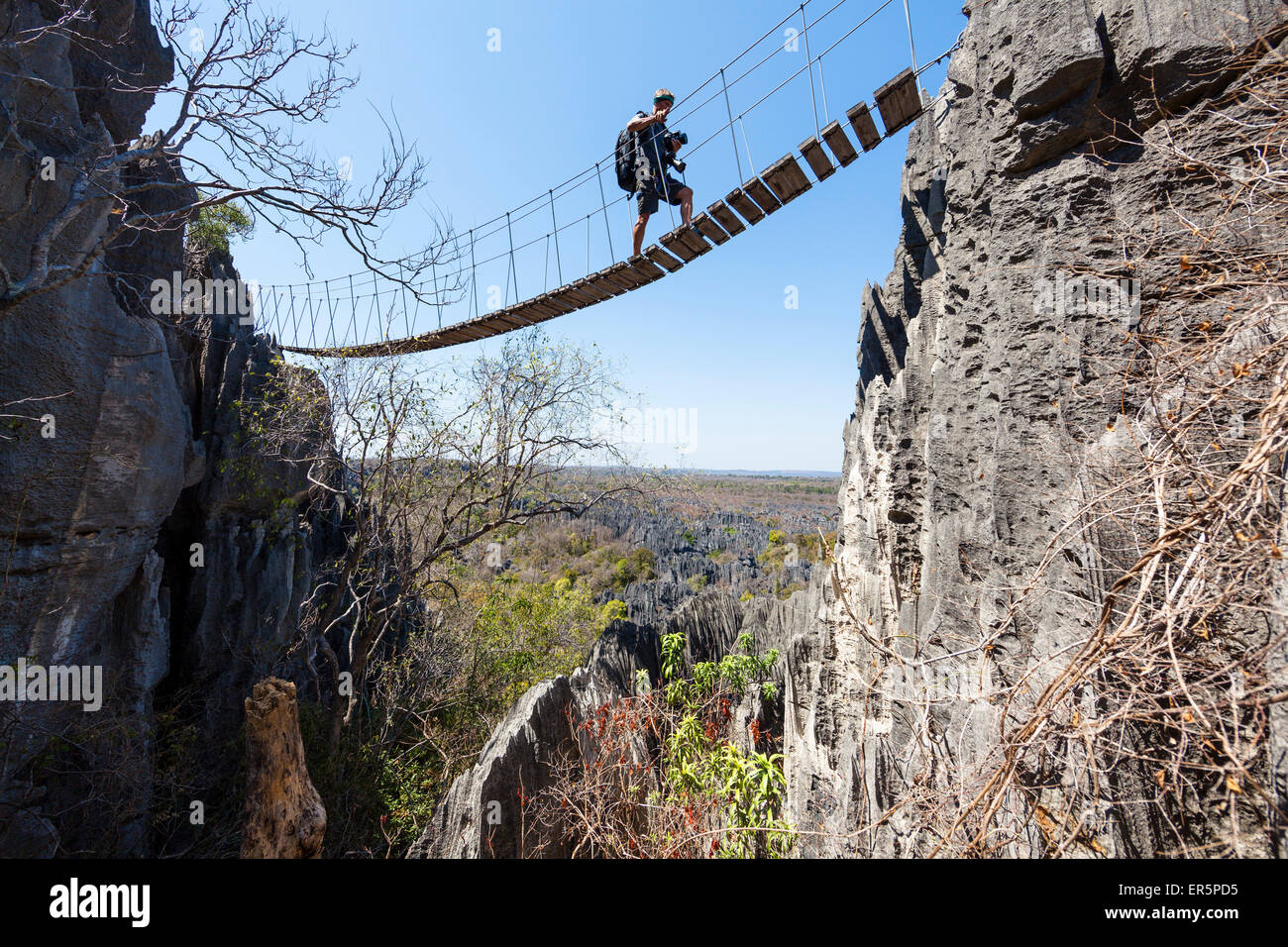 Ponte di sospensione in Tsingy de Bemaraha National Park, Mahajanga, Madagascar, Africa Foto Stock