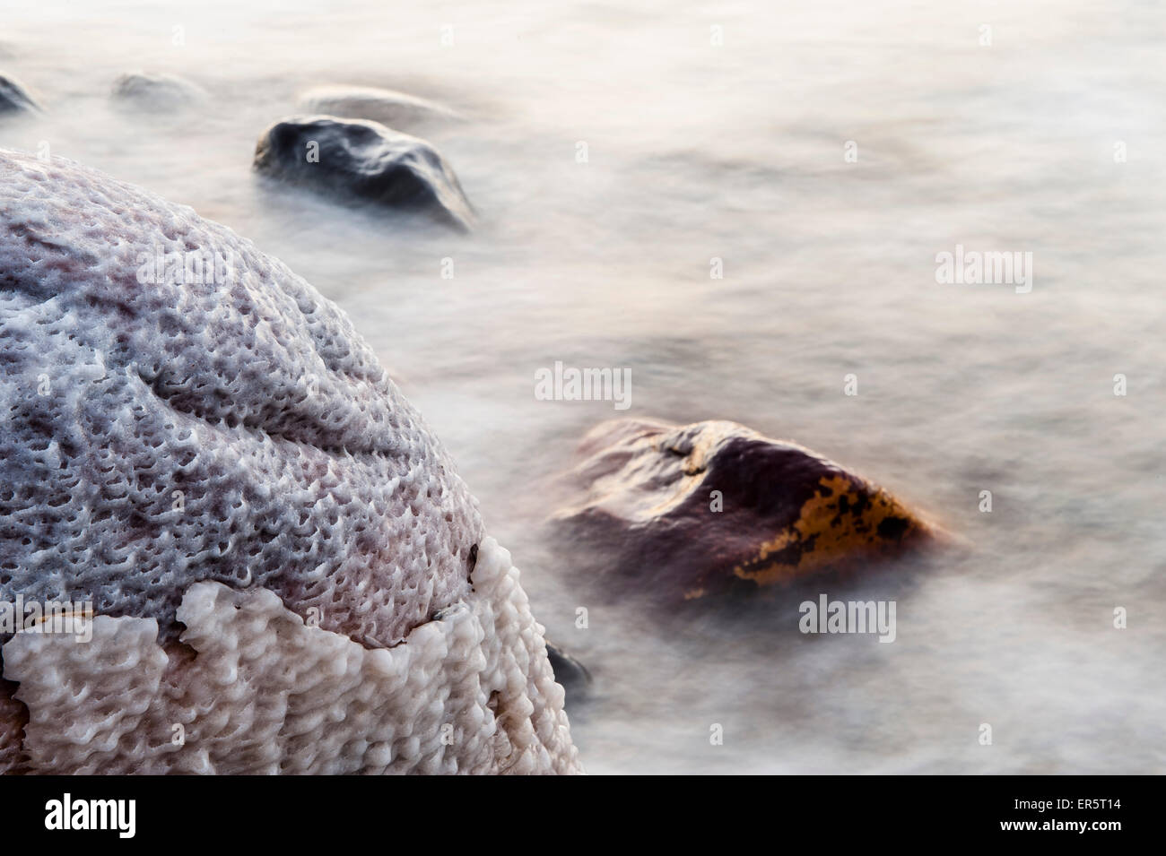 Sale incrostati di pietra nel Mar Morto, Giordania, Medio Oriente Foto Stock