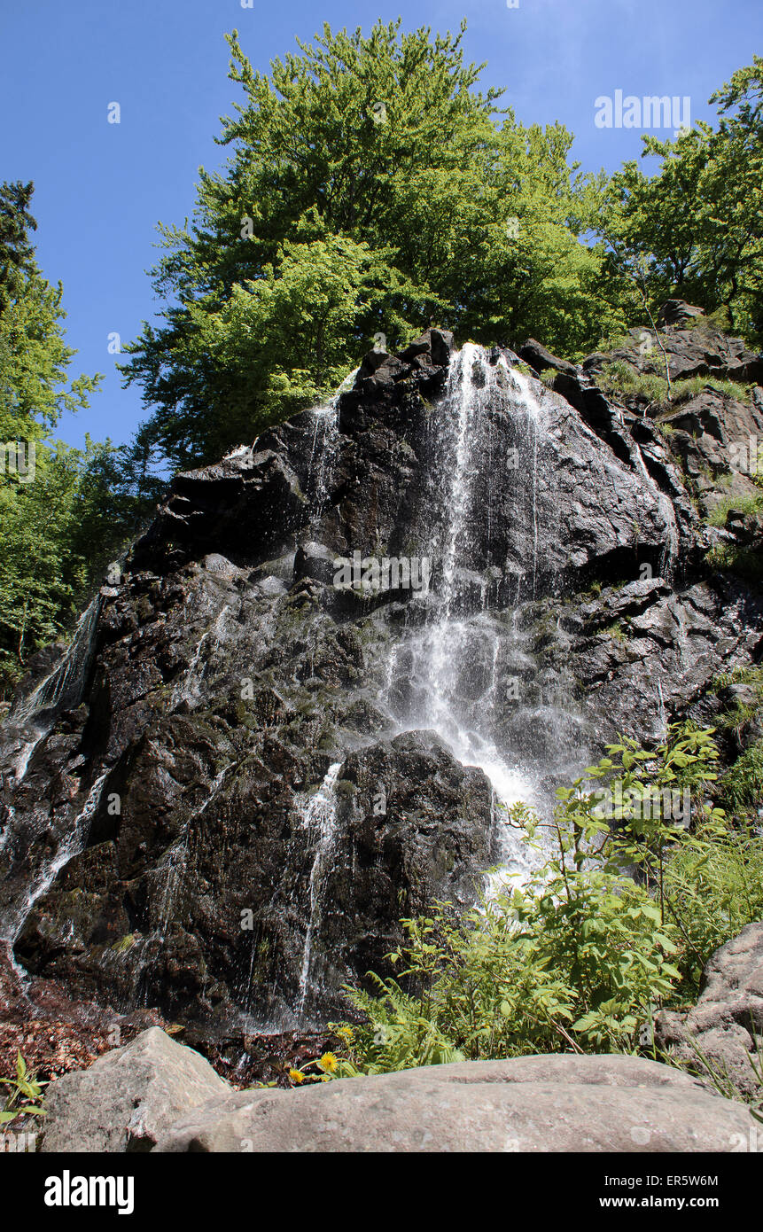 Cascata Radau, Harz, Bassa Sassonia, Germania, Europa Foto Stock