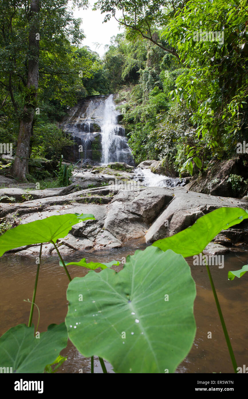 Cascata nella foresta tropicale, Bang Saphan, Prachuap Khiri Khan Provincia, Thailandia, Asia Foto Stock