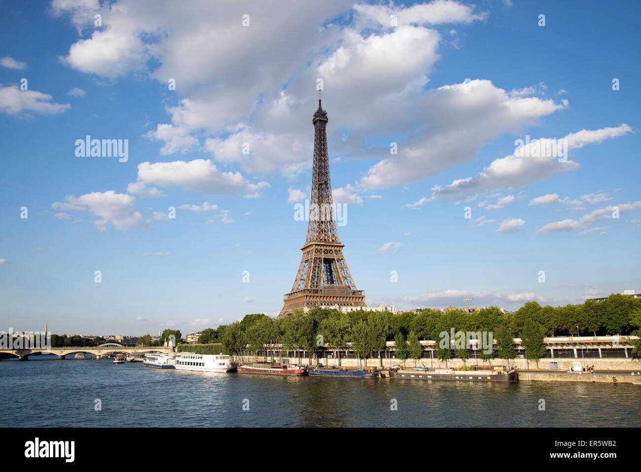 Torre Eiffel attraverso il fiume Senna, Parigi, Francia, Europa Foto Stock