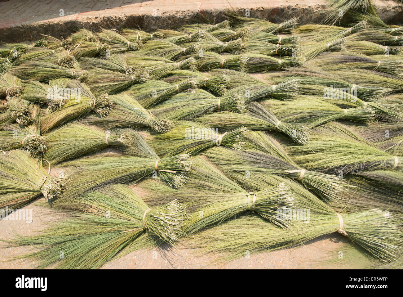 Fasci di paglia di riso nel Laos rurale Foto Stock