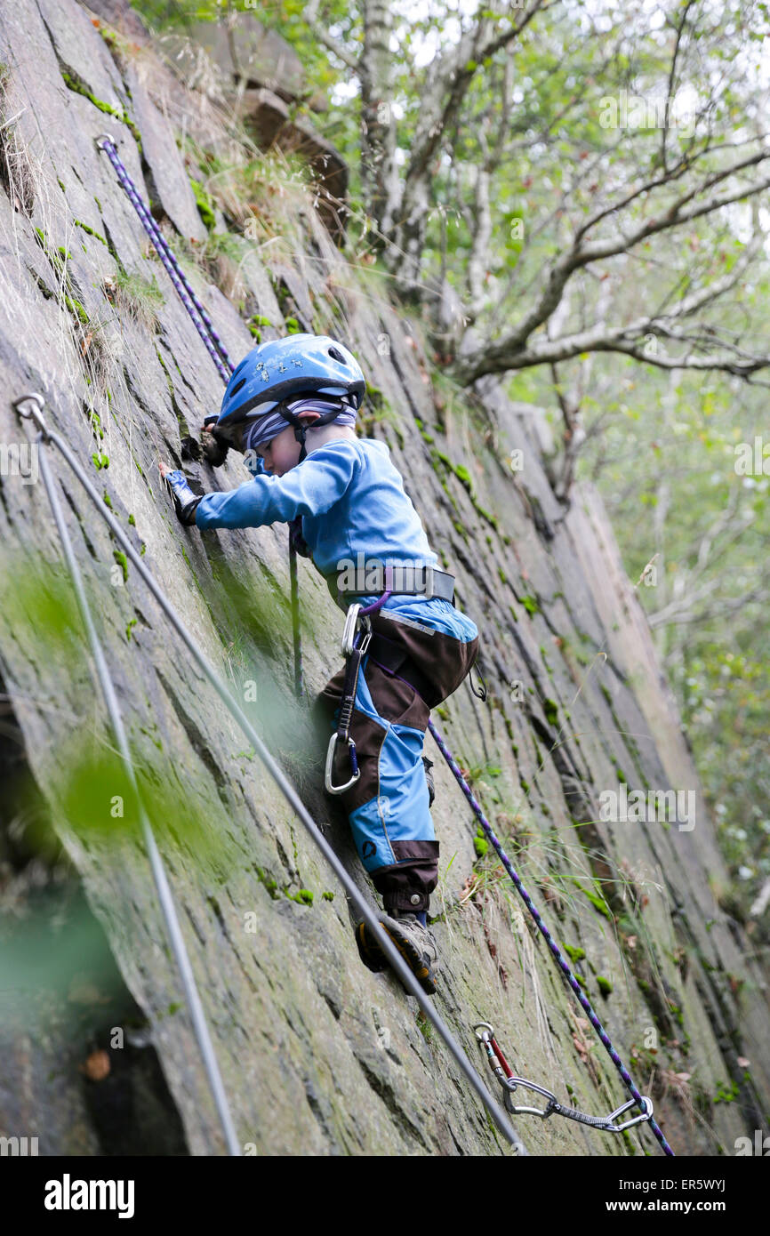 Ragazzo di 4 anni arrampicate ad una roccia, pietra Gaudlitzberg pit, Roecknitz, Thallwitz, Bassa Sassonia, Germania Foto Stock