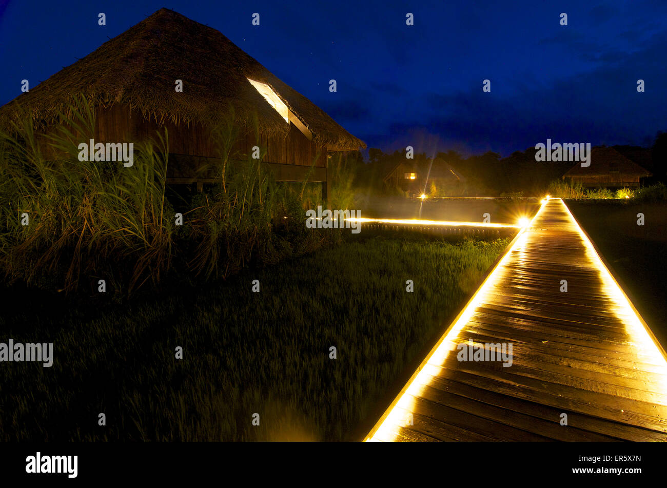 Passerella in legno con luci al crepuscolo e bungalows su palafitte in piedi in risaie, Hotel Jetwing Vil Uyana, Sigiriya, Matale D Foto Stock