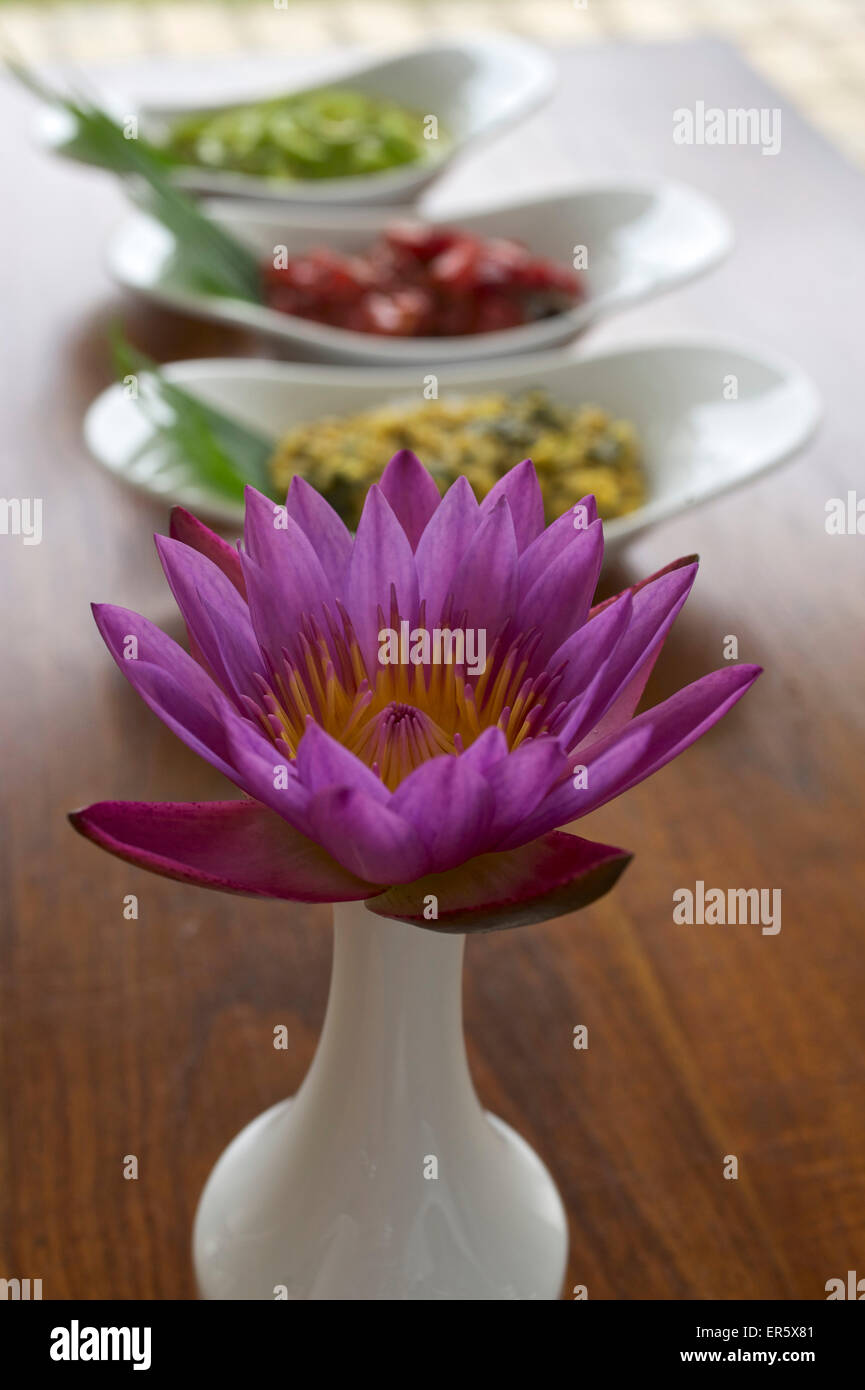 Fiore di loto e cibo ayurvedico in eredità lasciataci Maha Gedara Ayurveda Resort Beruwela, costa sudovest, Sri Lanka Foto Stock