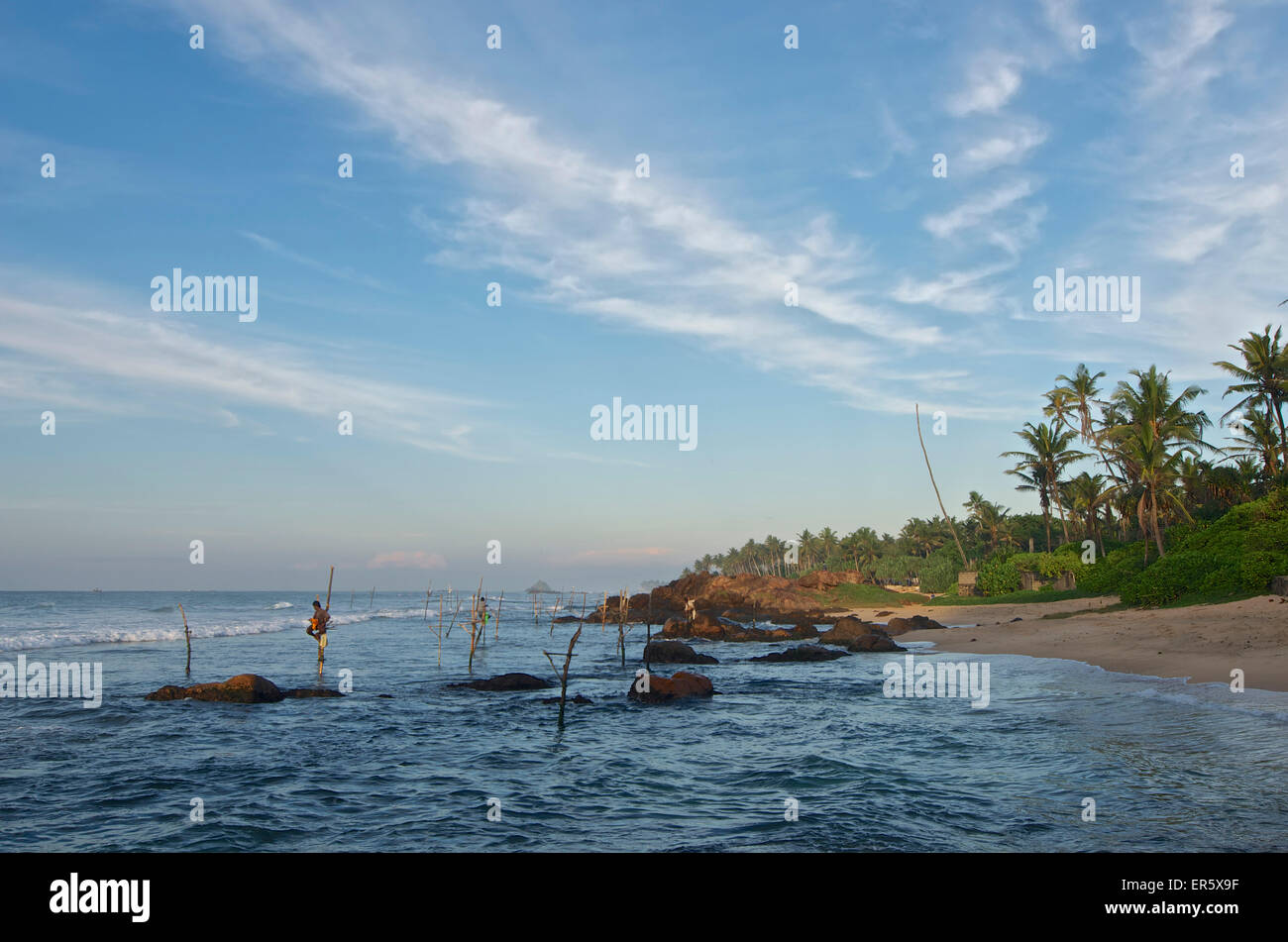 Stilt pescatori nelle prime ore del mattino davanti a una costa rocciosa vicino a Weligama, Sud Sri Lanka Foto Stock