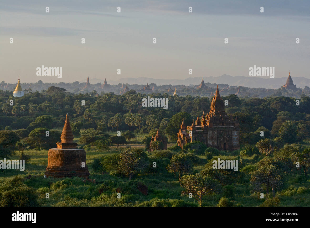 Sunrise presso le pagode presso Old Bagan, MYANMAR Birmania Foto Stock