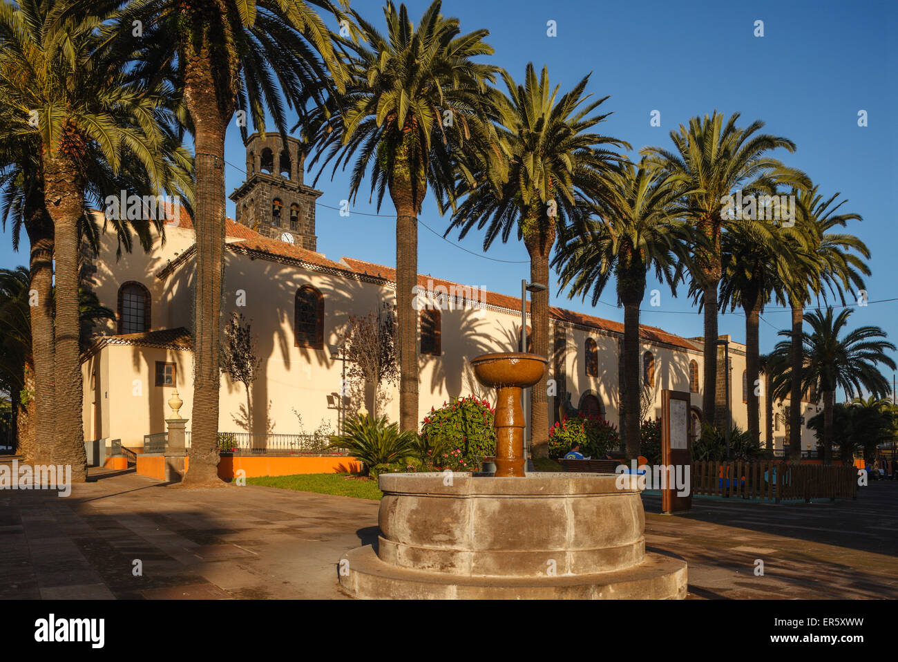 Gli alberi di palma, fontana sulla Plaza de la Concepción square, Iglesia de Nuestra Senora de la Concepción, chiesa di San Cristobal de la L Foto Stock