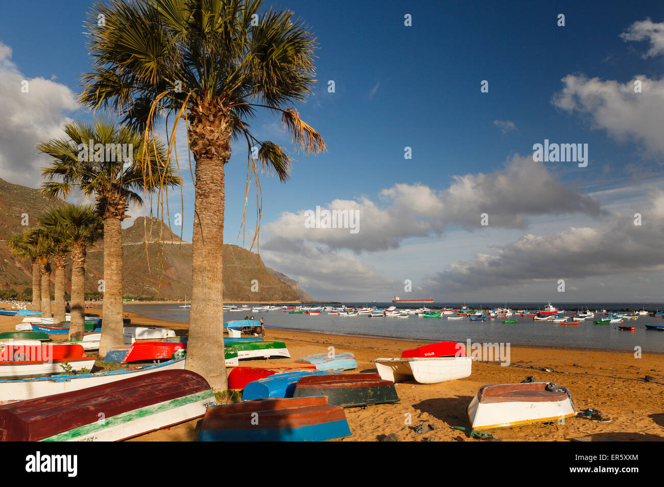 Spiaggia con palme e barche da pesca, Playa de Las Teresitas, nei pressi di San Andres, Las Montanas de Anaga, riserva naturale, Parqu Foto Stock