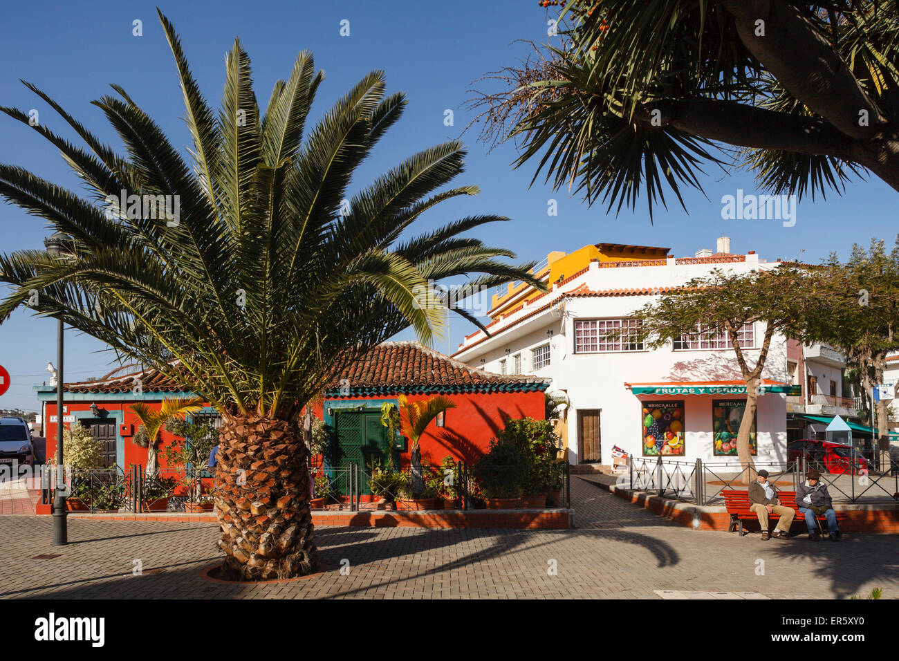 Plaza Ramon j. Figueroa, piazza del villaggio con Palm tree, Valle de Guerra, villaggio nei pressi di Tacoronte, Tenerife, Isole Canarie, Spagna Foto Stock