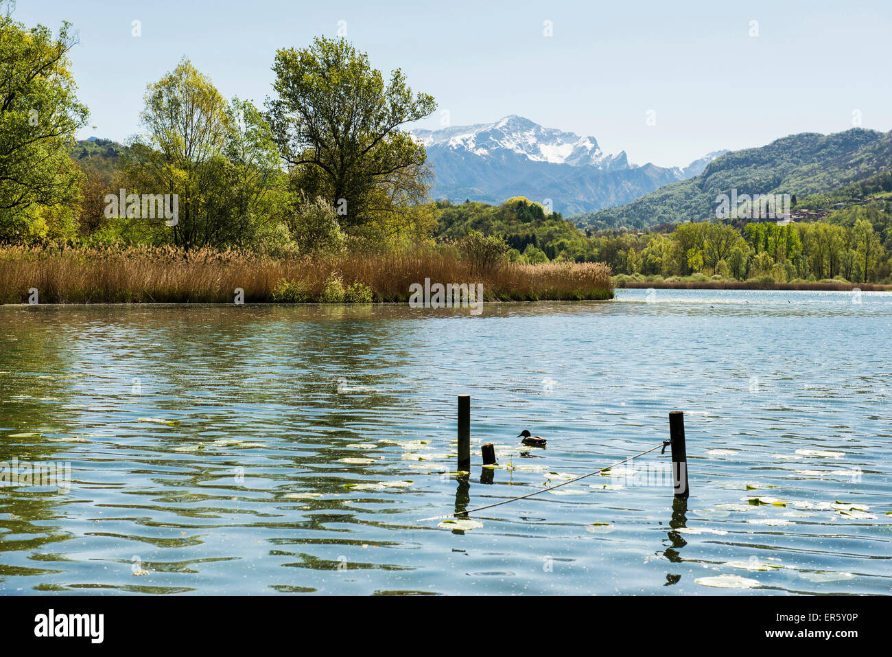 Lago, Lago di Piano, vicino a Porlezza in provincia di Como, Lombardia, Italia Foto Stock