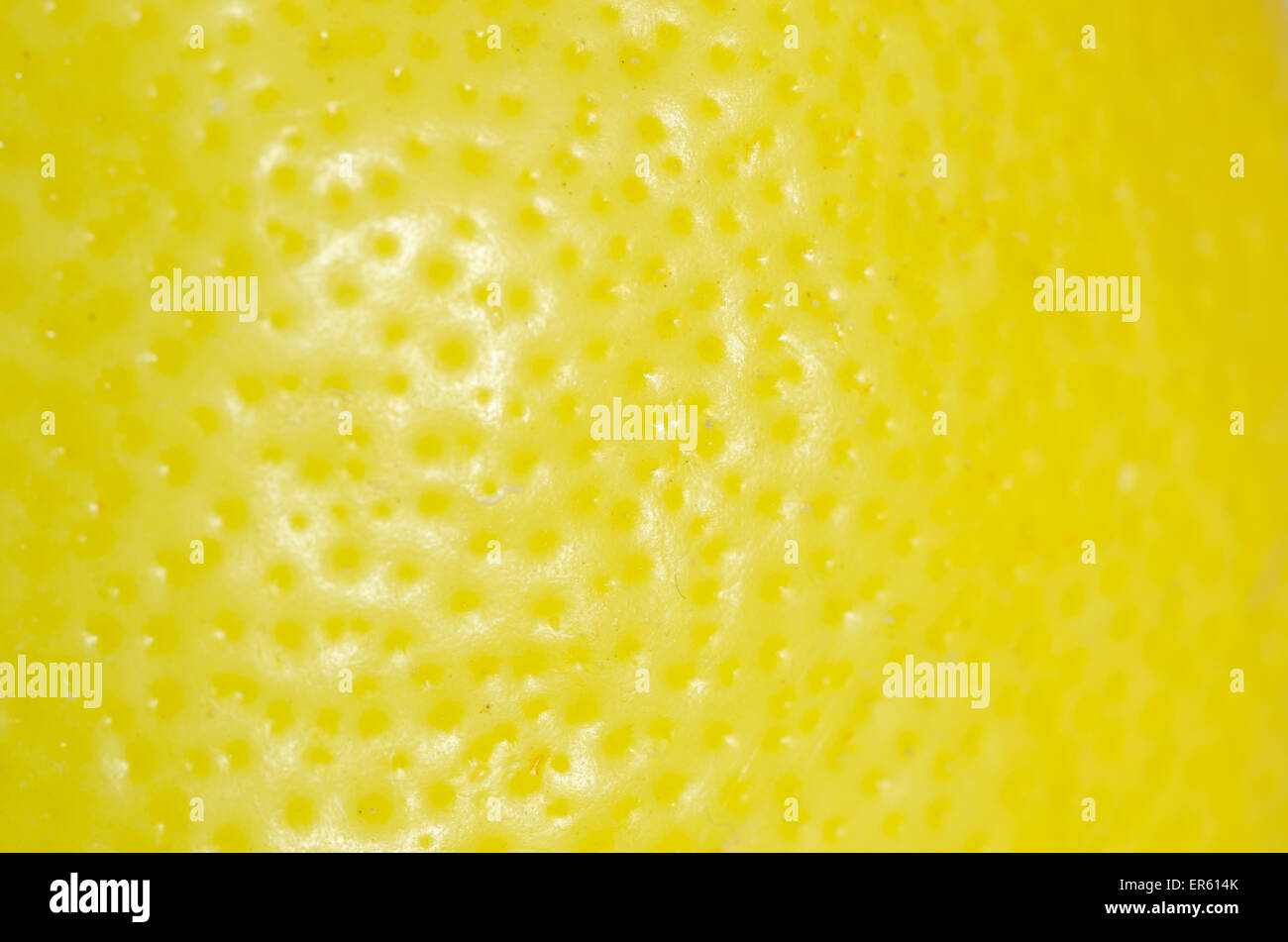 Macro di limone la texture della pelle sfondo Foto Stock