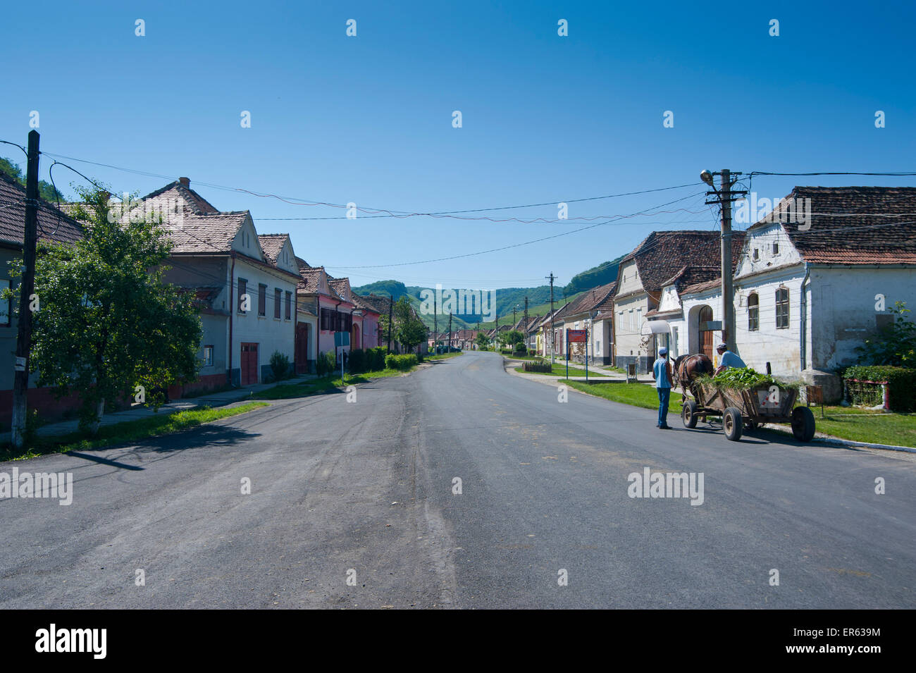 Village Street, Seica Mica, Romania Foto Stock