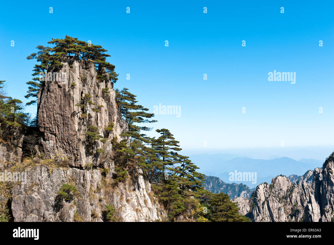 Bizzarre rocce torreggianti montagne e ricoperta da Huangshan pini (Pinus hwangshanensis), Monte Huangshan, Monte Huangshan Foto Stock