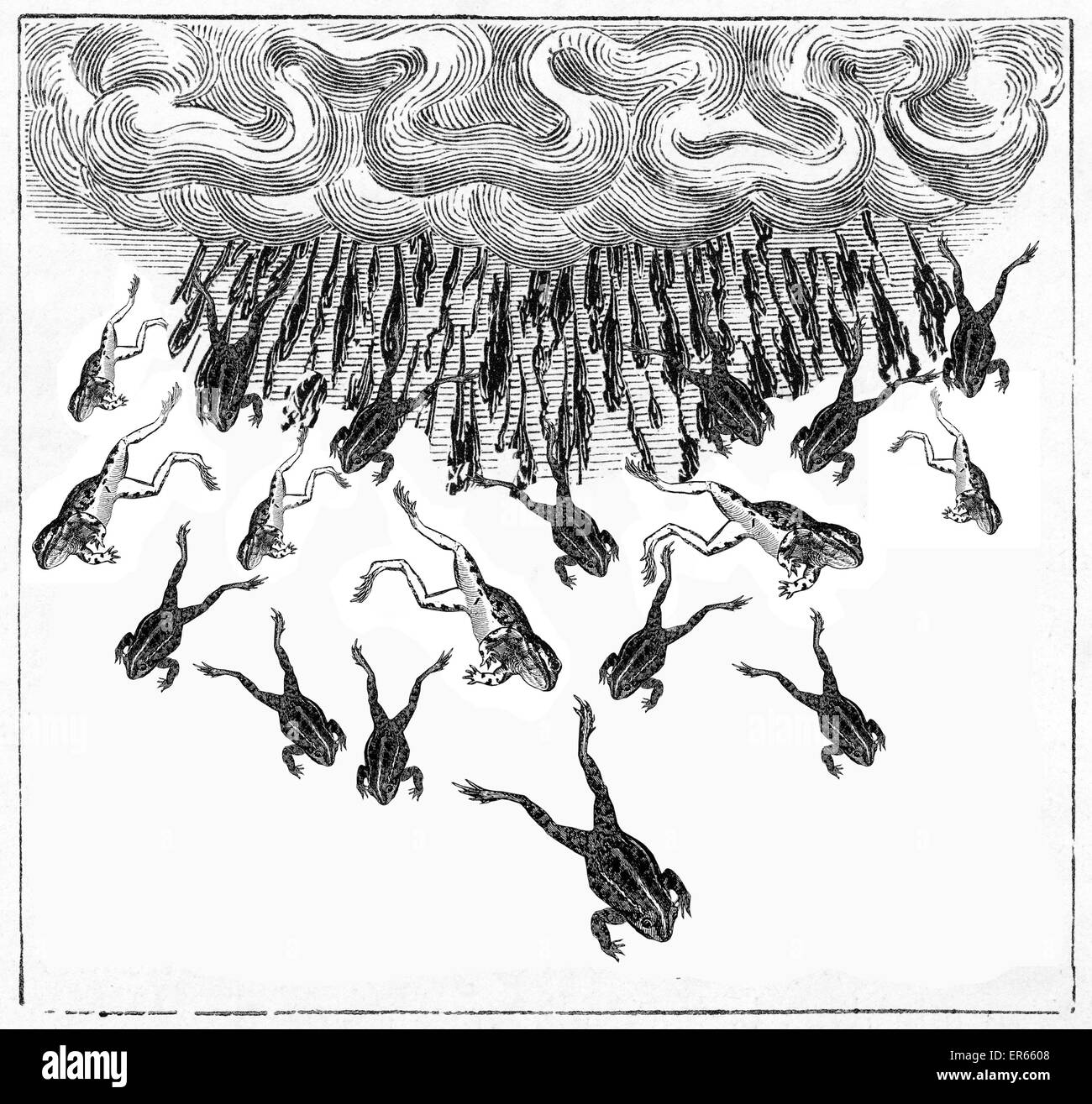 Una misteriosa caduta delle rane del XIX secolo Foto Stock