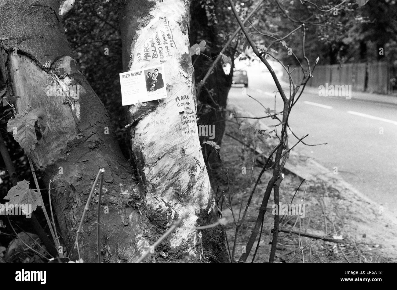 Albero in auto che trasportano Marc Bolan scontrato, risultante nella sua morte il 16 settembre 1977. Il veicolo, un viola Mini 1275GT (registrazione FOX 661L) è stata essendo pilotato da ragazza Gloria Jones. Jones ha perso il controllo della vettura e ha colpito un platano Foto Stock