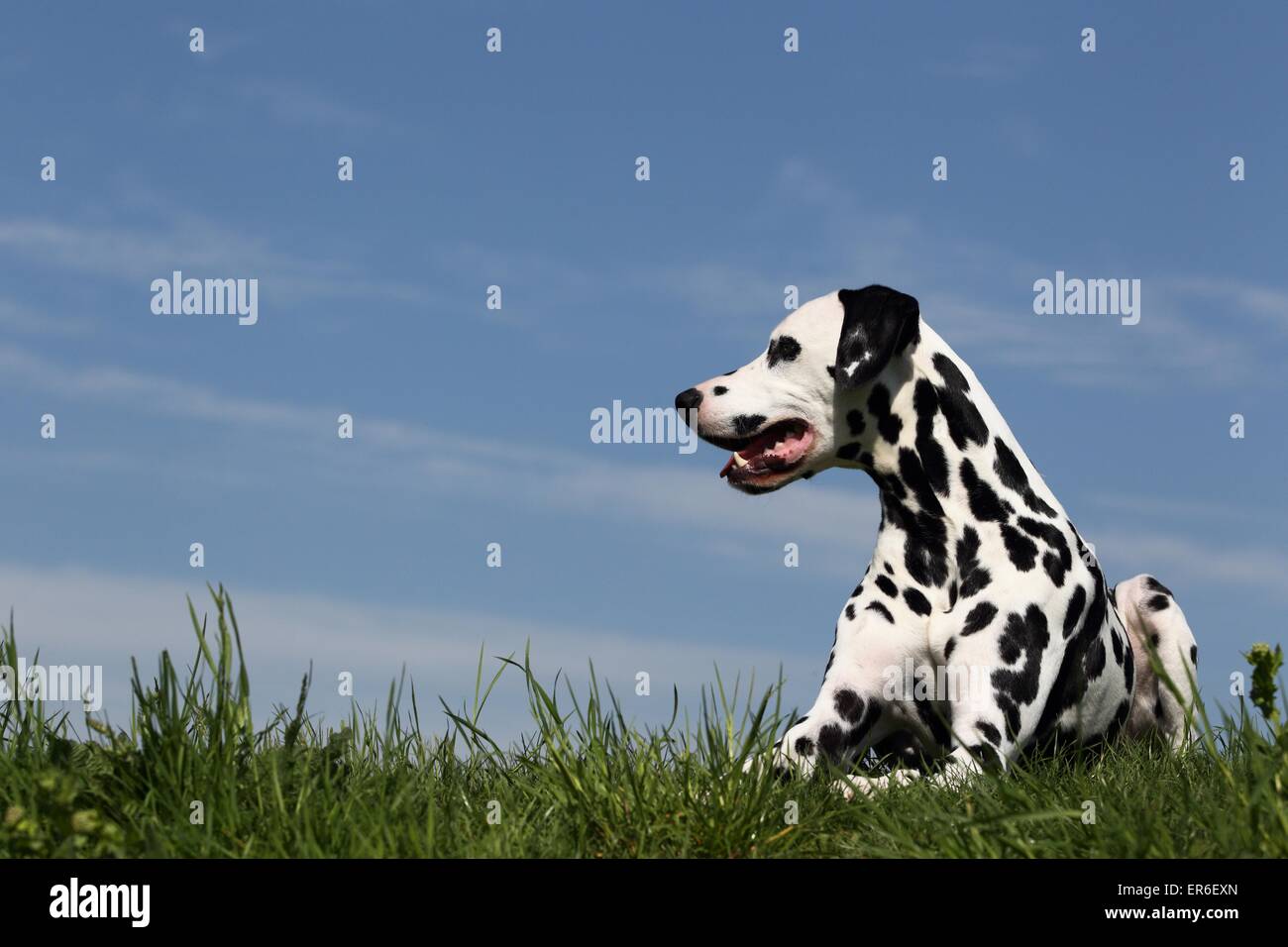 menzogne della Dalmazia Foto Stock