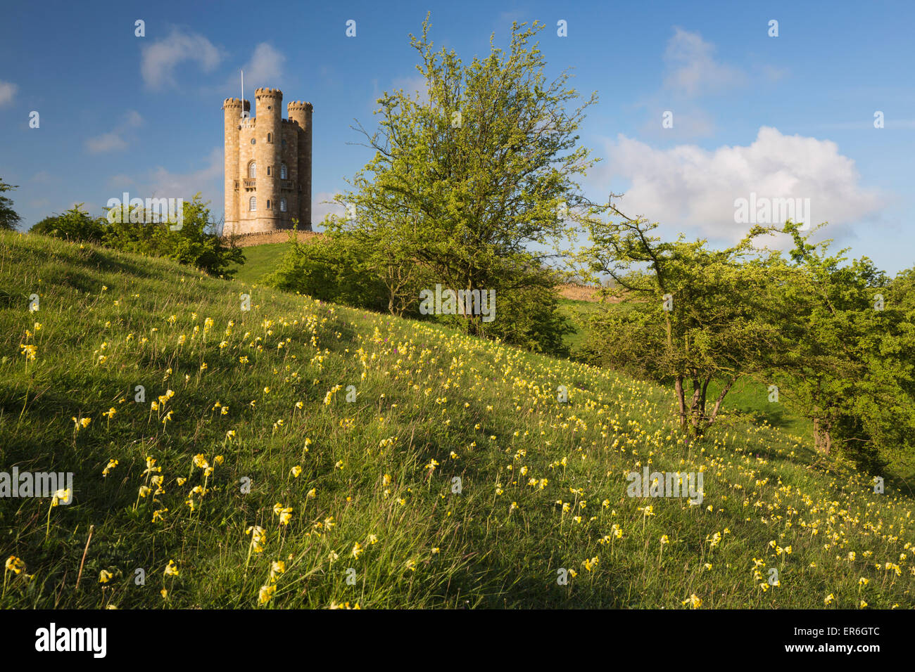 Torre di Broadway con cowslips, Broadway, Cotswolds, Worcestershire, England, Regno Unito, Europa Foto Stock