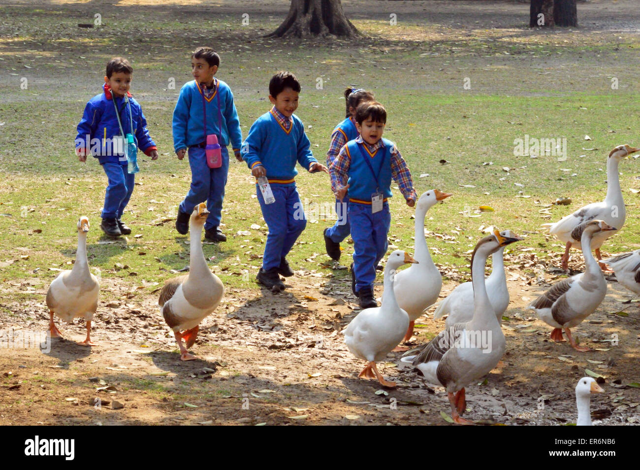 I bambini delle scuole su una gita al Lodhi Gardens Delhi India Febbraio 2015 felicemente a caccia alle anatre. Foto Stock