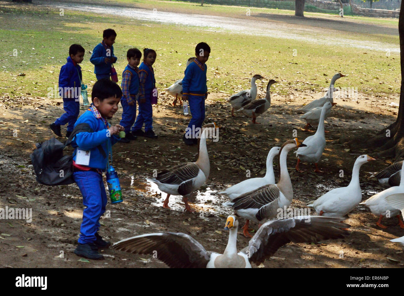 Indian School kids su una giornata fuori a giardini di Lodhi Delhi India Febbraio 2015 entusiasta e a caccia di anatre nel parco Foto Stock