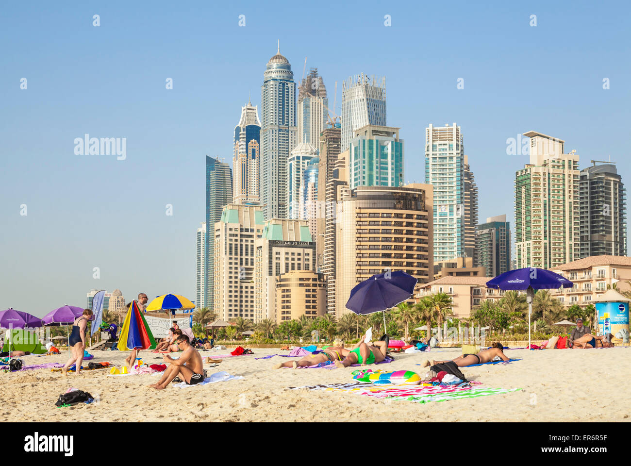 Lucertole da mare sul pubblico di Dubai spiaggia a JBR (Jumeirah Beach Resort) , Dubai, Emirati Arabi Uniti, Emirati arabi uniti, Medio Oriente Foto Stock