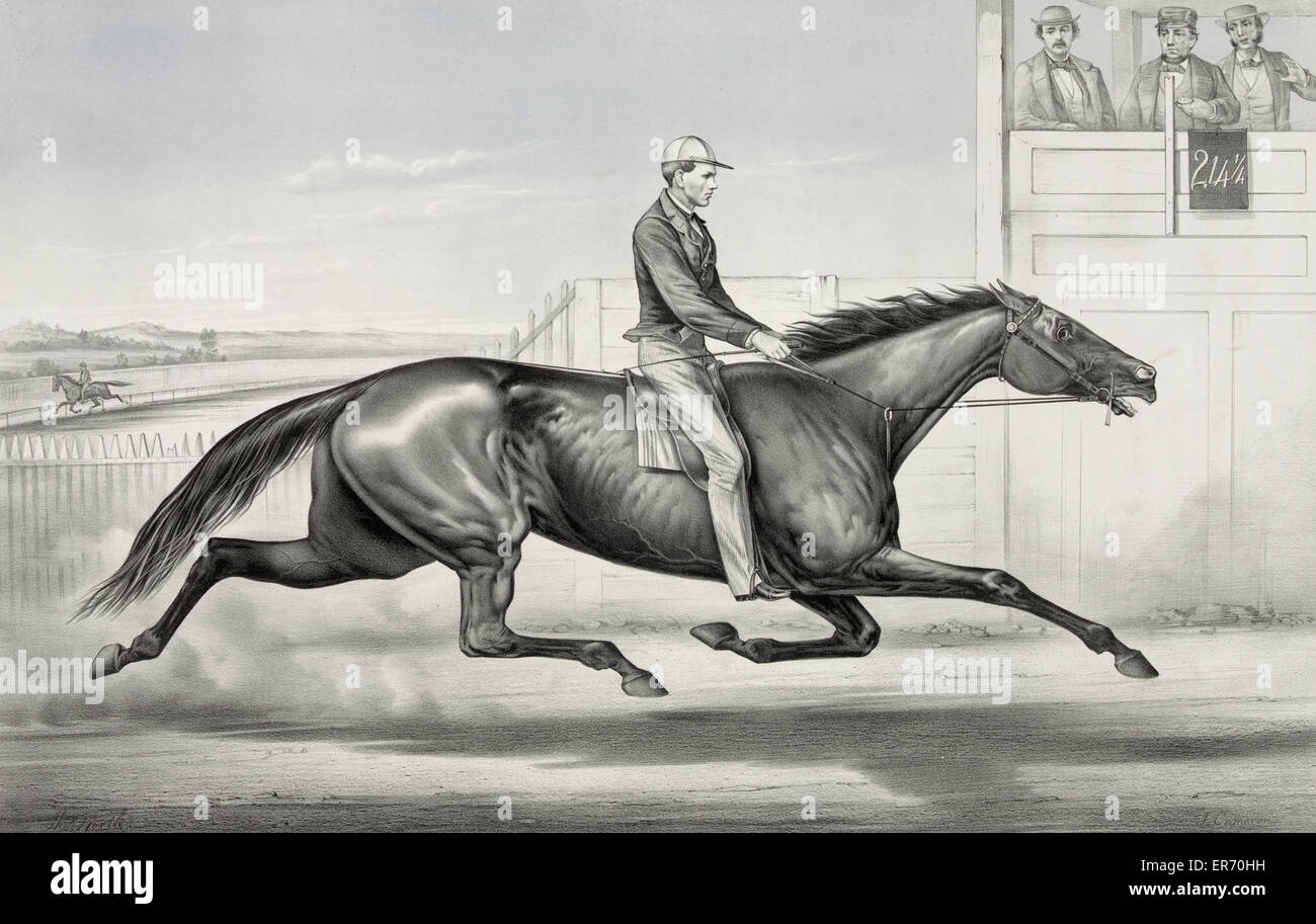 Cavallo pacing Billy Boyce di St. Louis: Come apparve al BUF Foto Stock
