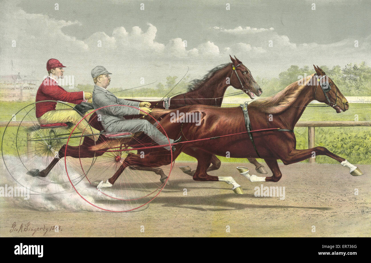 Il famoso trotter Prince Wilkes record, 2:14 1/3; posseduto b Foto Stock