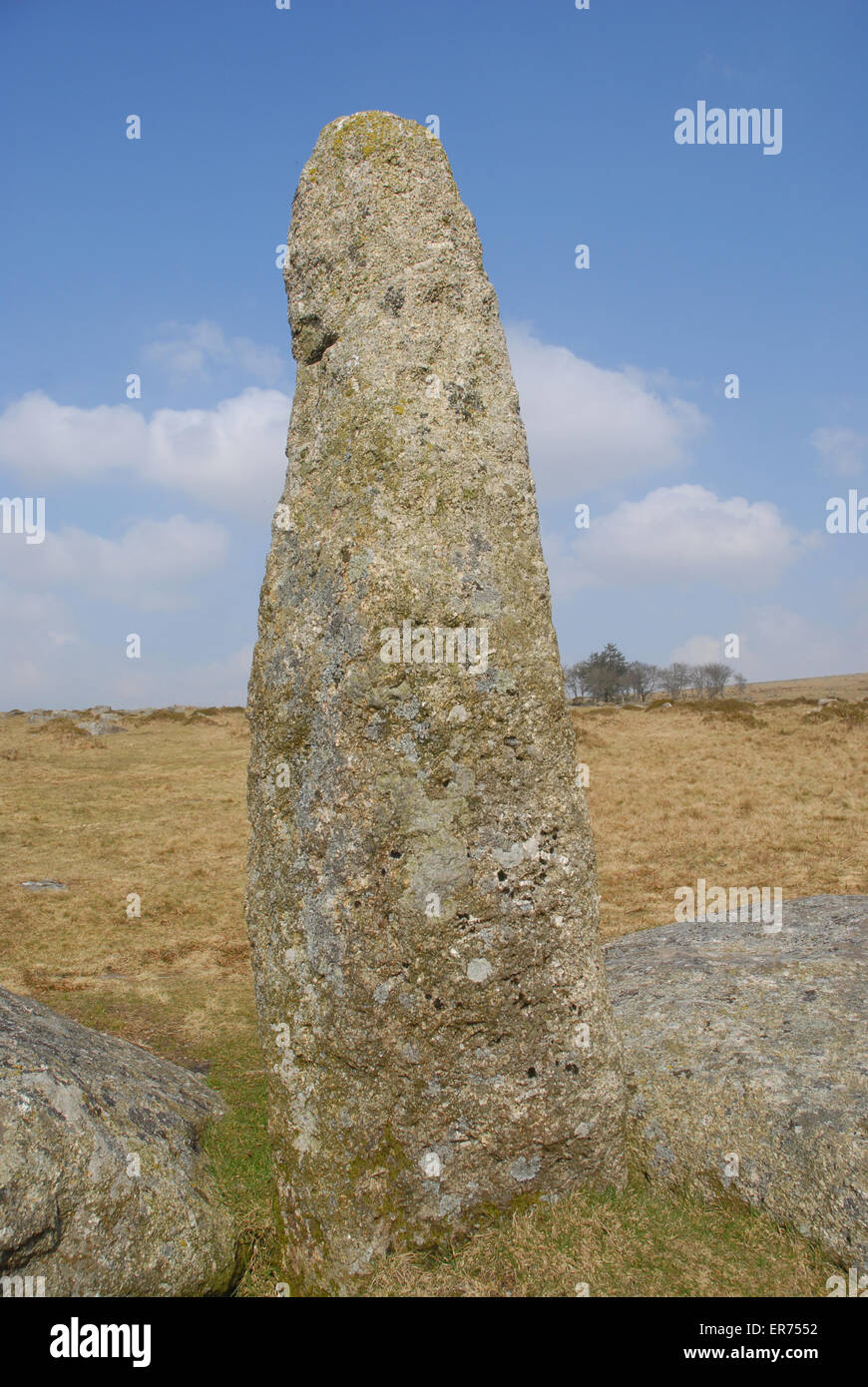 In piedi in pietra marcatore, nelle vicinanze Merrivale, parco nazionale di Dartmoor, Inghilterra Foto Stock