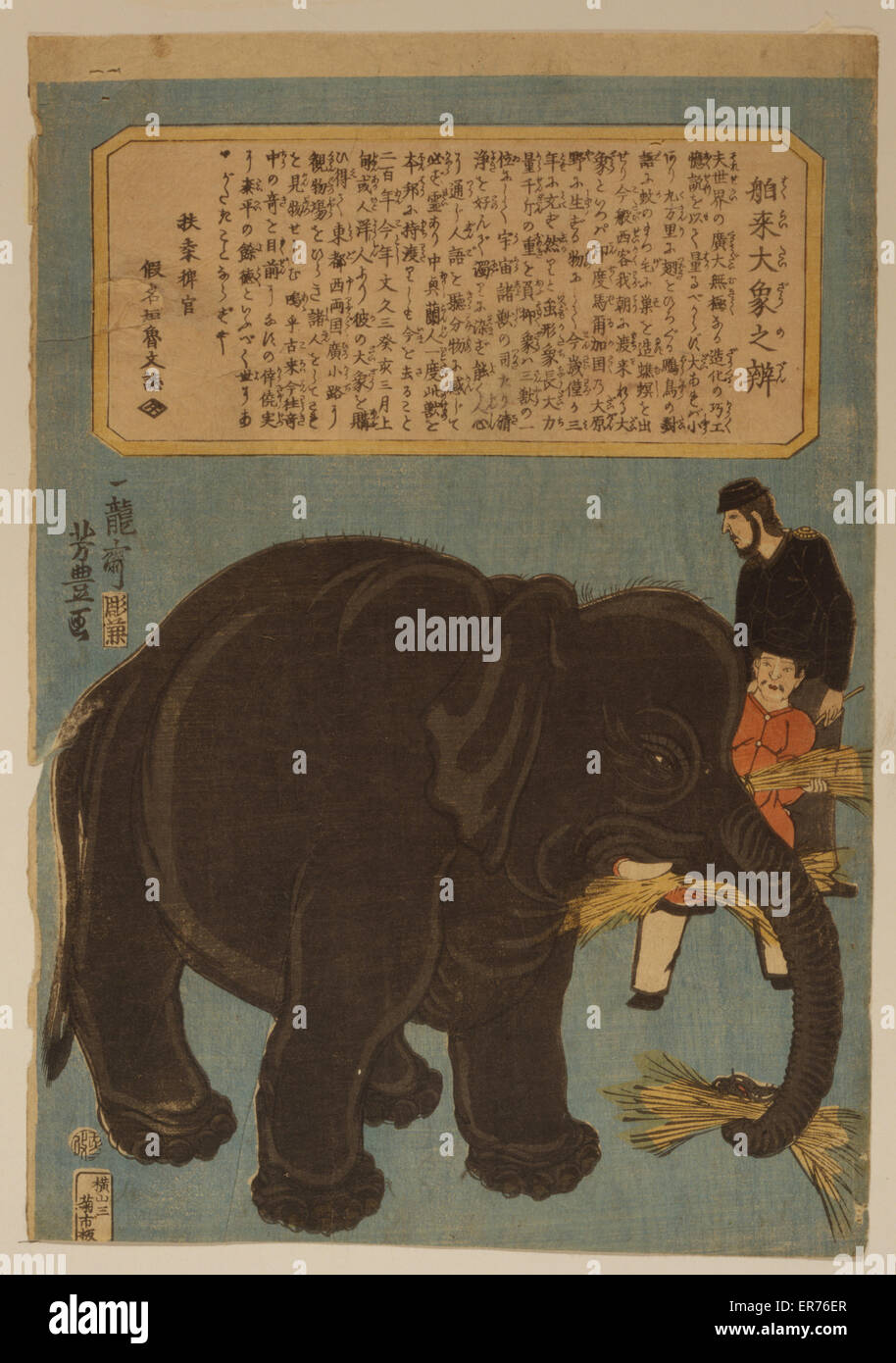 Grande elefante importato Foto Stock