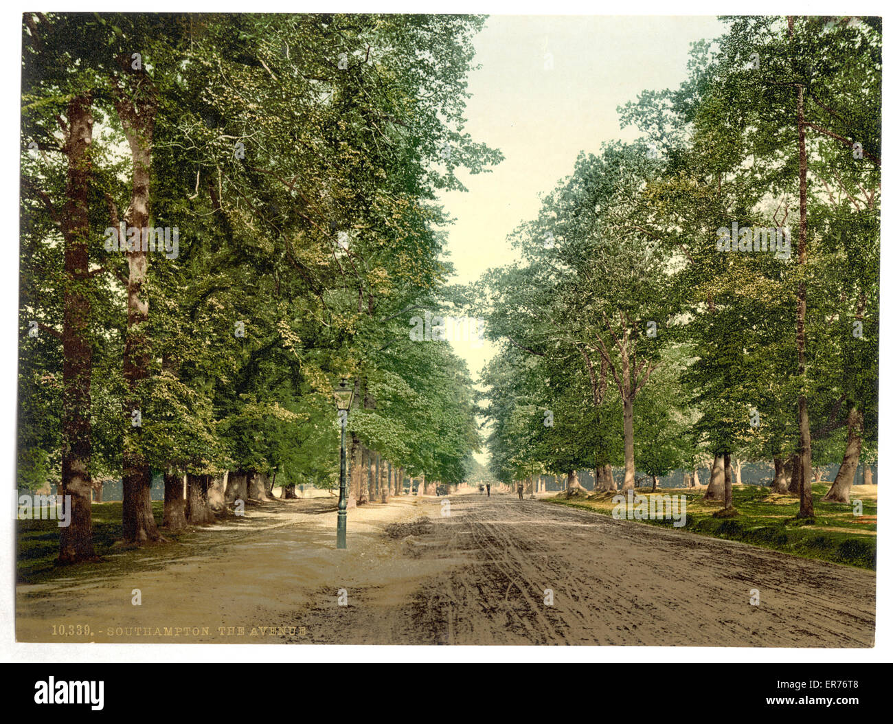 The Avenue, Southampton, Inghilterra Foto Stock