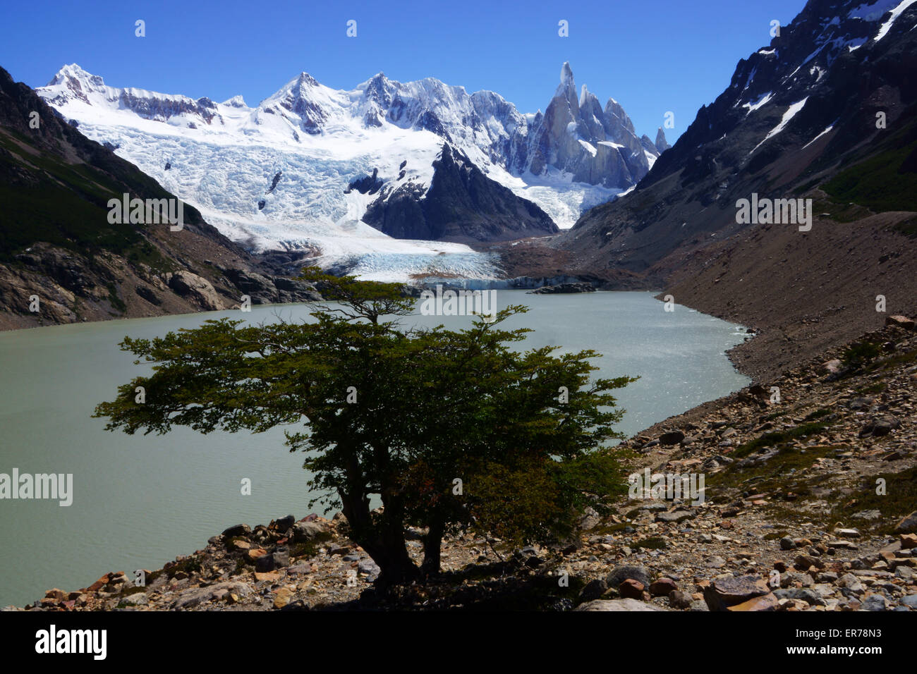Laguna Torres con f.l. Cerro Nato, Adela Sur, A. Centrale, A. Norte, Cerro Torre, C. Egger, C. Standhardt, Patagonia, Argentina Foto Stock Laguna Torres con f.l. Cerro Nato, Adela Sur, A. Centrale, A. Norte, Cerro Torre, C. Egger, C. Standhardt, Patagonia, Argentina Foto Stock