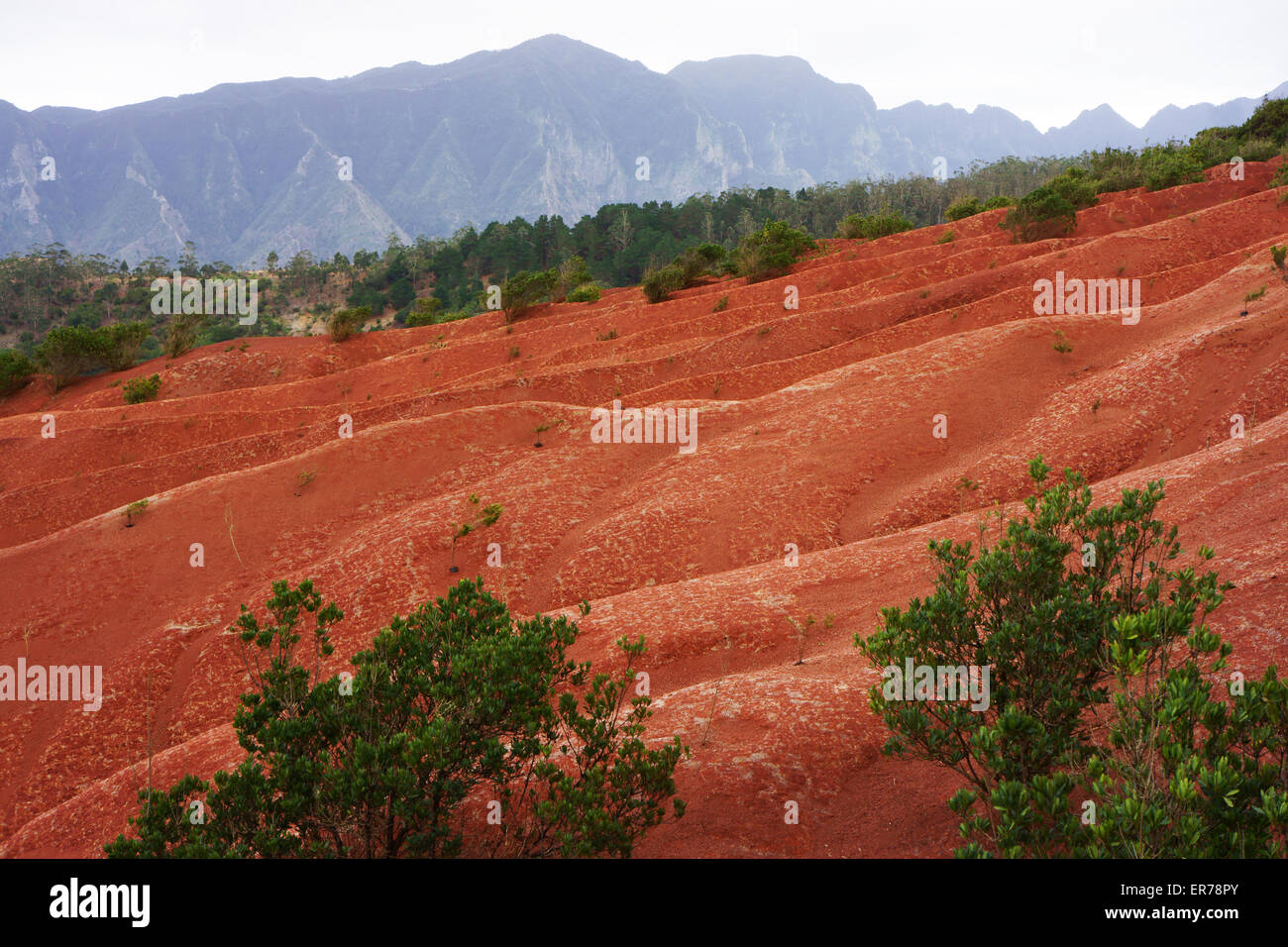 Ceneri vulcaniche sotto Piedras Bolas, isola di La Gomera, isole Canarie, Spagna Foto Stock